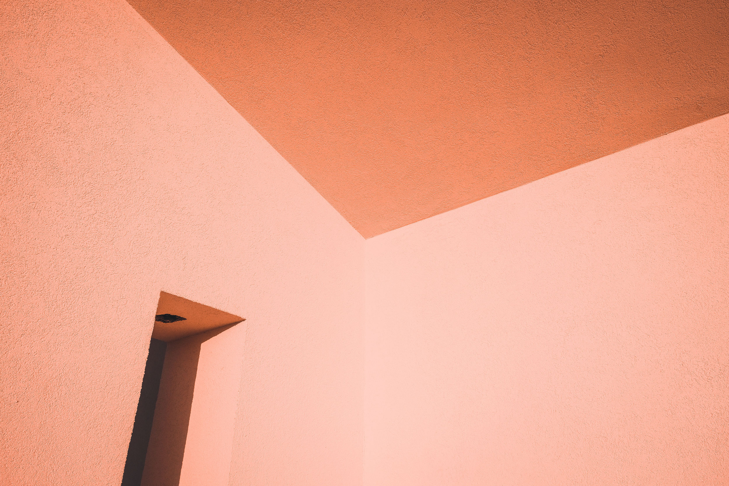 Photo by Sam Moghadam Khamseh on Unsplash