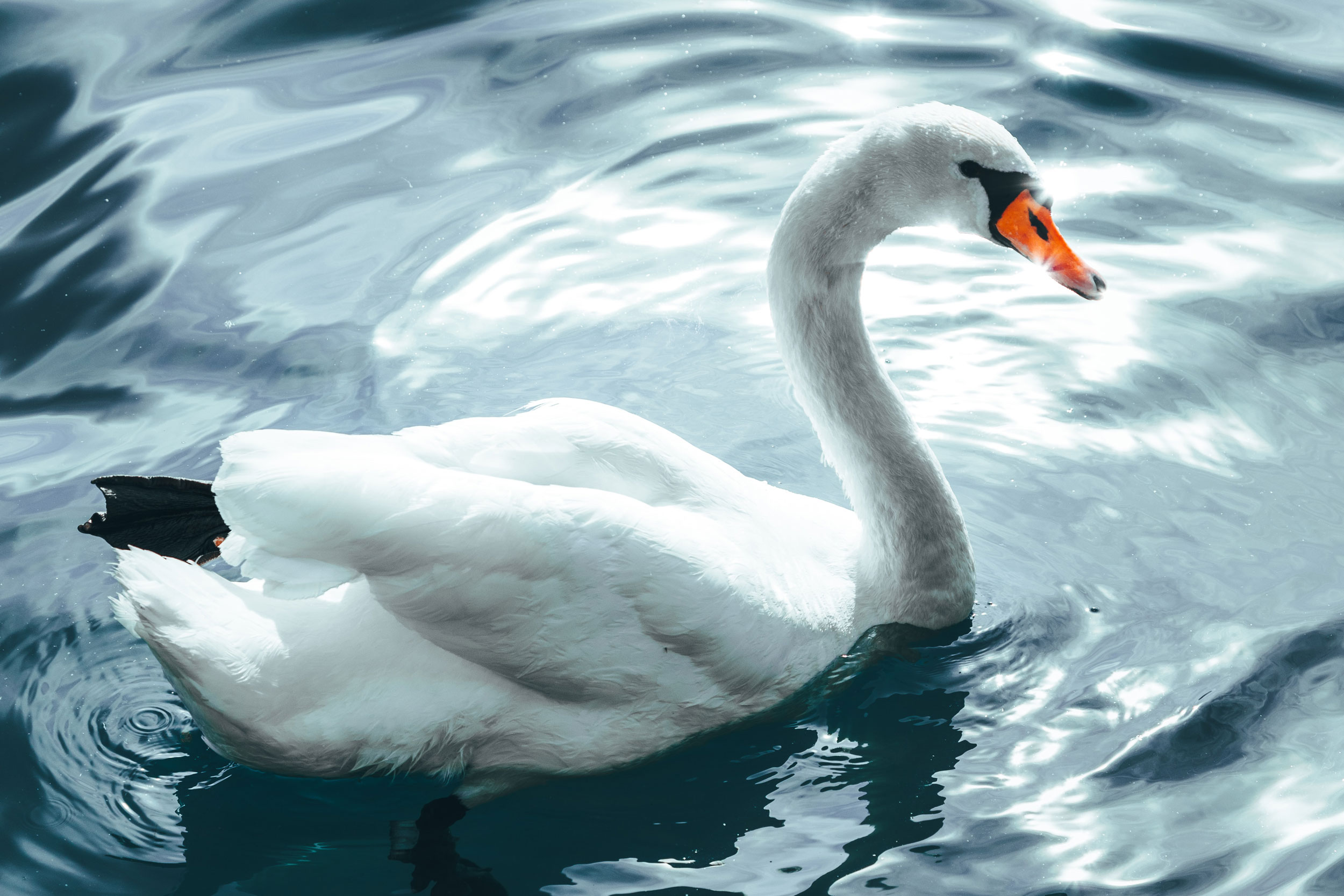 Astro Daily: October 4, 2023