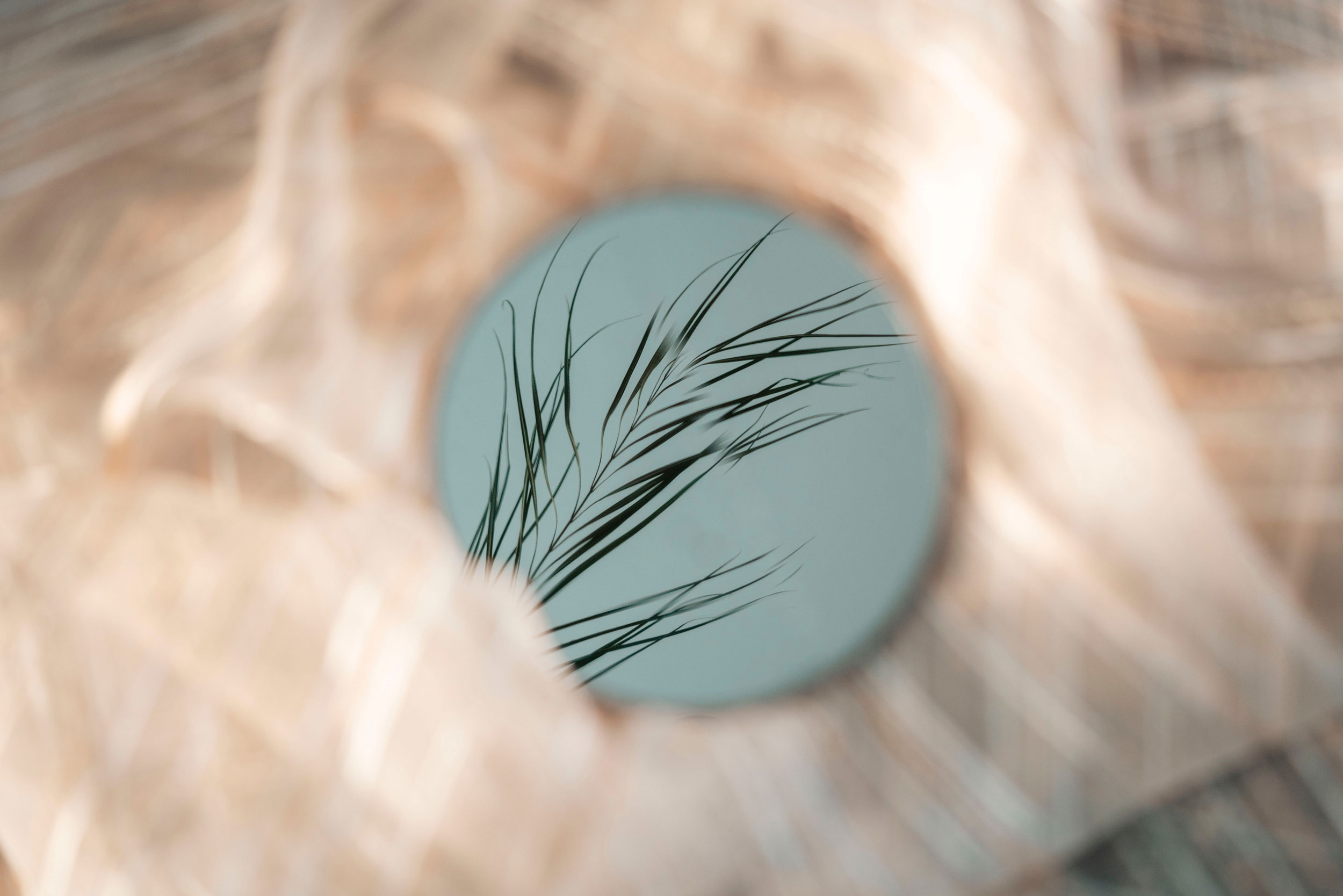 Photo by Teslariu Mihai on Unsplash