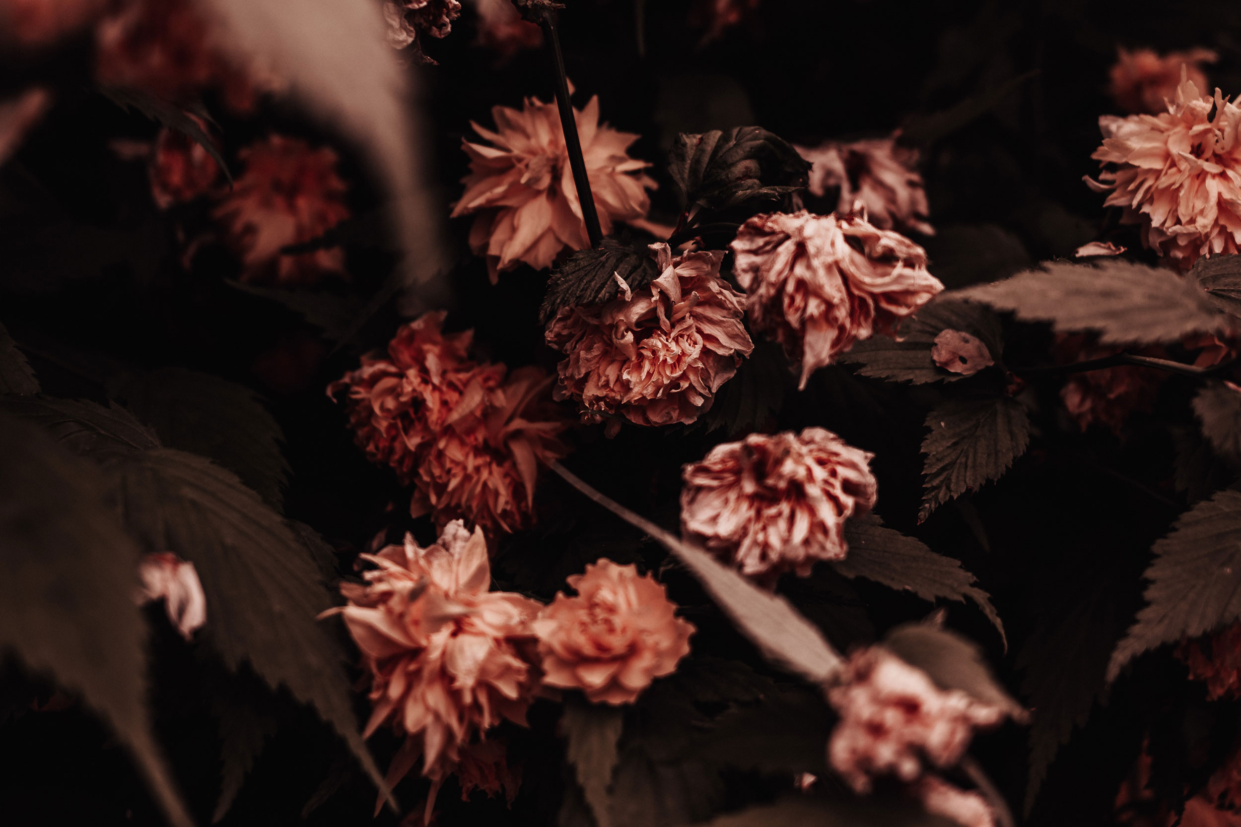 Photo by Aedrian on Unsplash