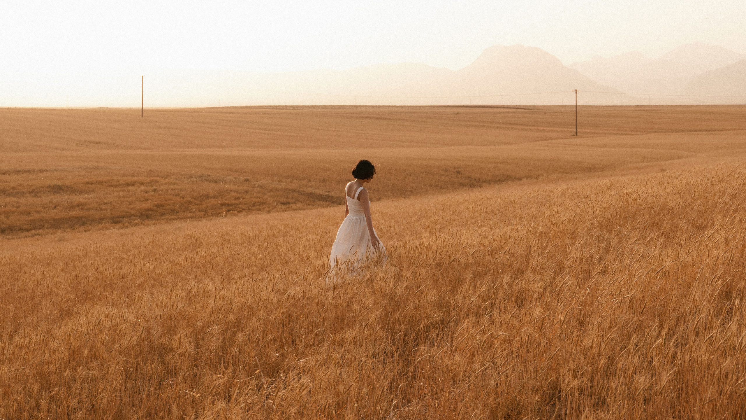 Photo by Ali Karimiboroujeni on Unsplash