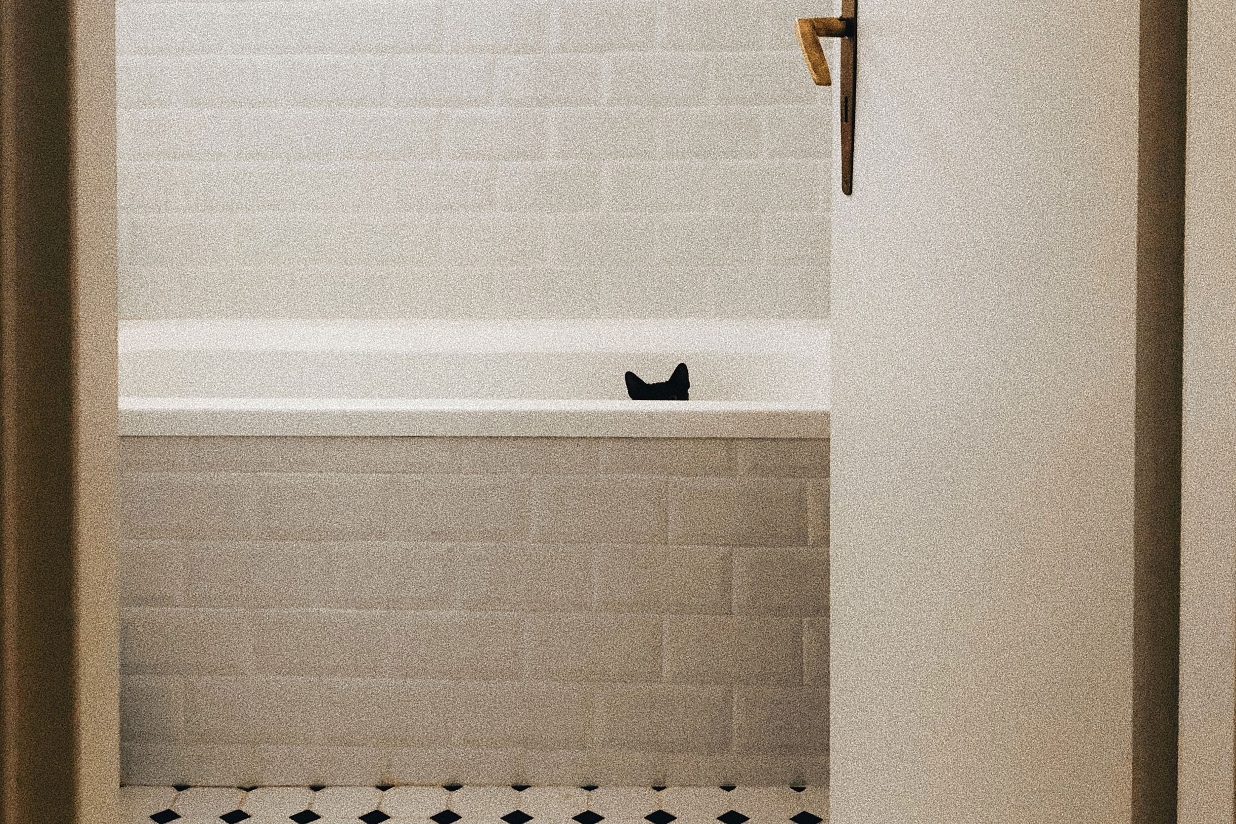 Photo by Cristi Ursea on Unsplash