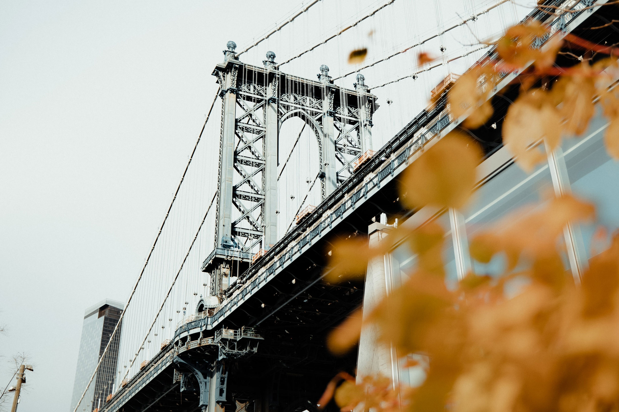 Photo by LOGAN WEAVER | @LGNWVR on Unsplash