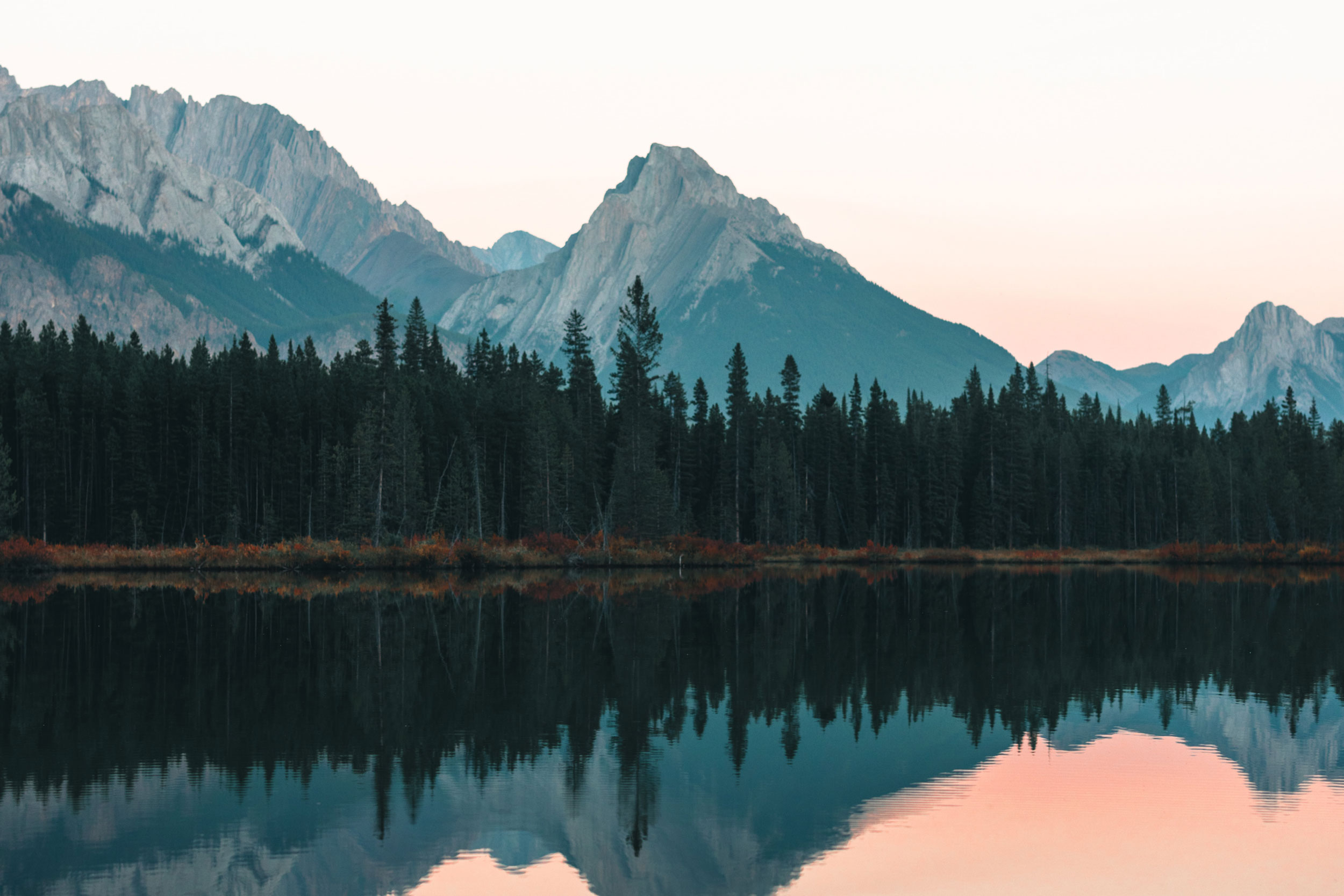 Photo by Ali Kazal on Unsplash
