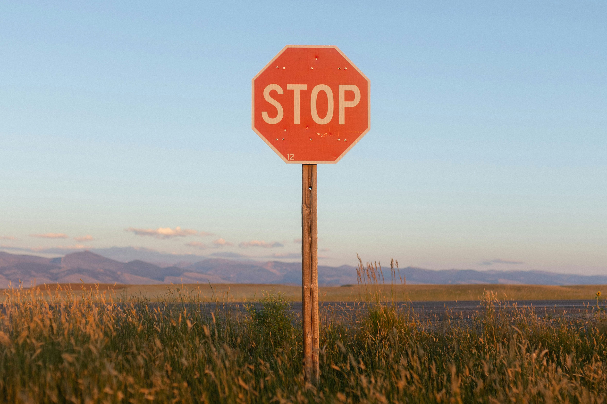 Photo by Grace Galligan on Unsplash