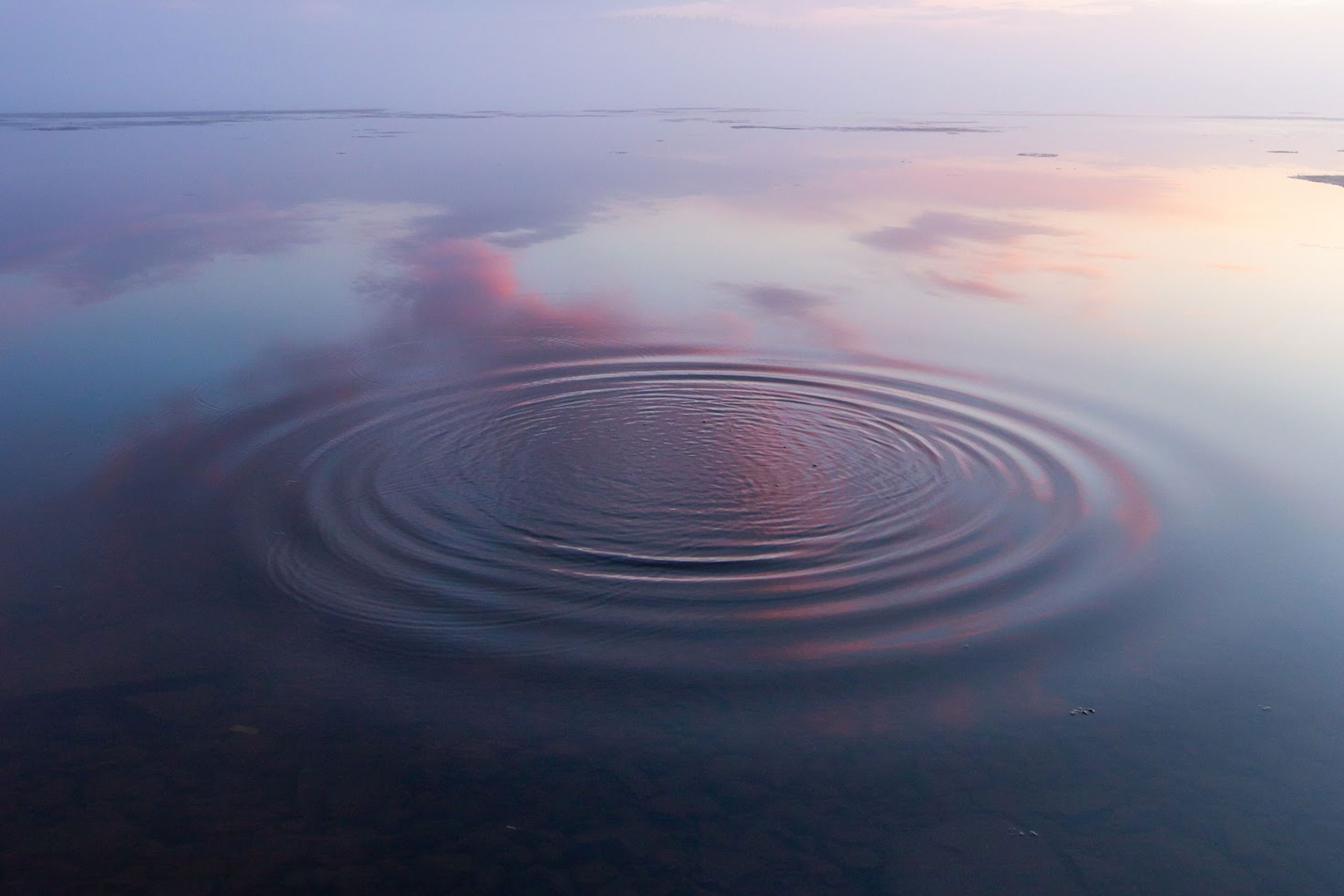 Photo by Sami Matias on Unsplash