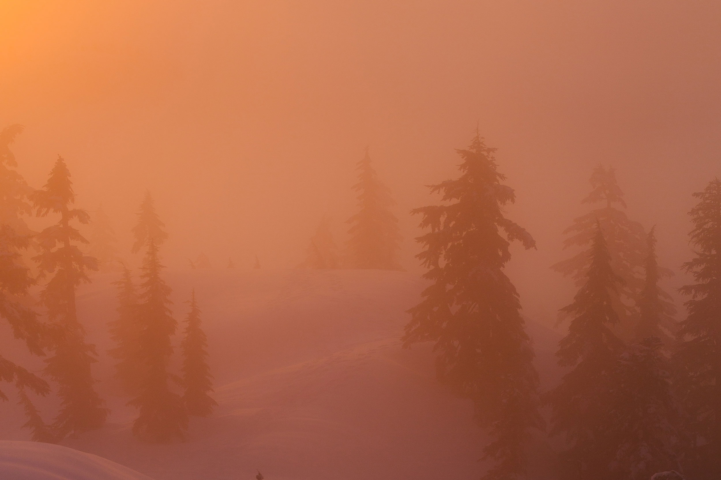 Astro Daily: December 19, 2023