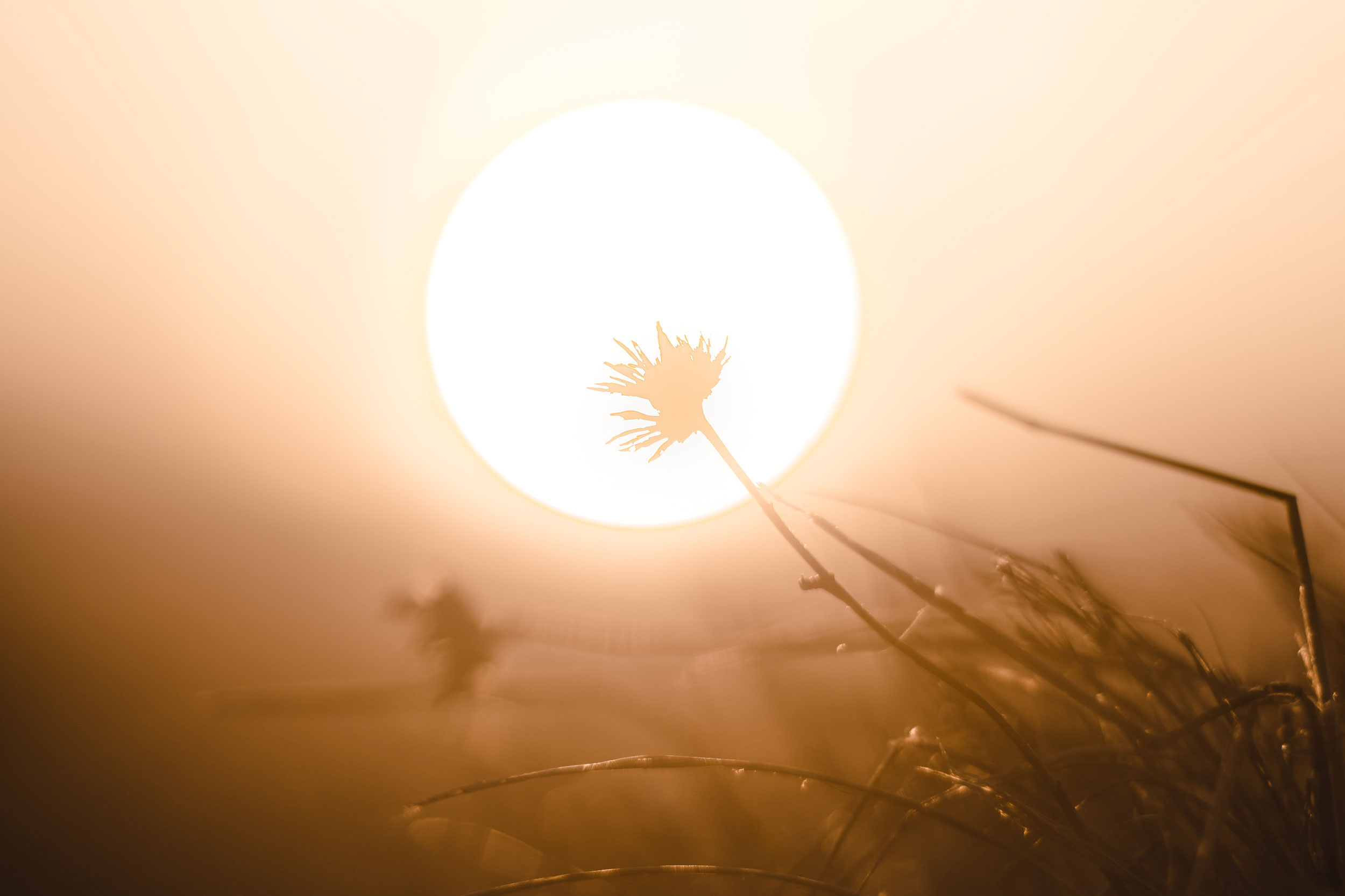 Astro Daily: December 22, 2023