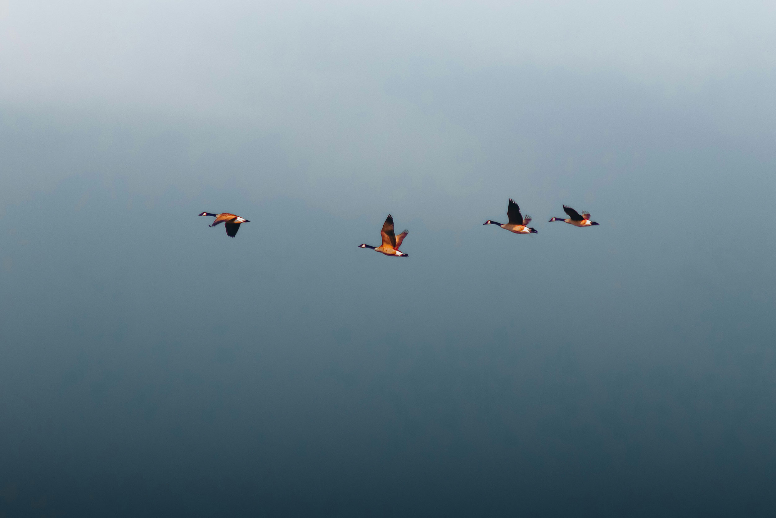 Astro Daily: February 1, 2024