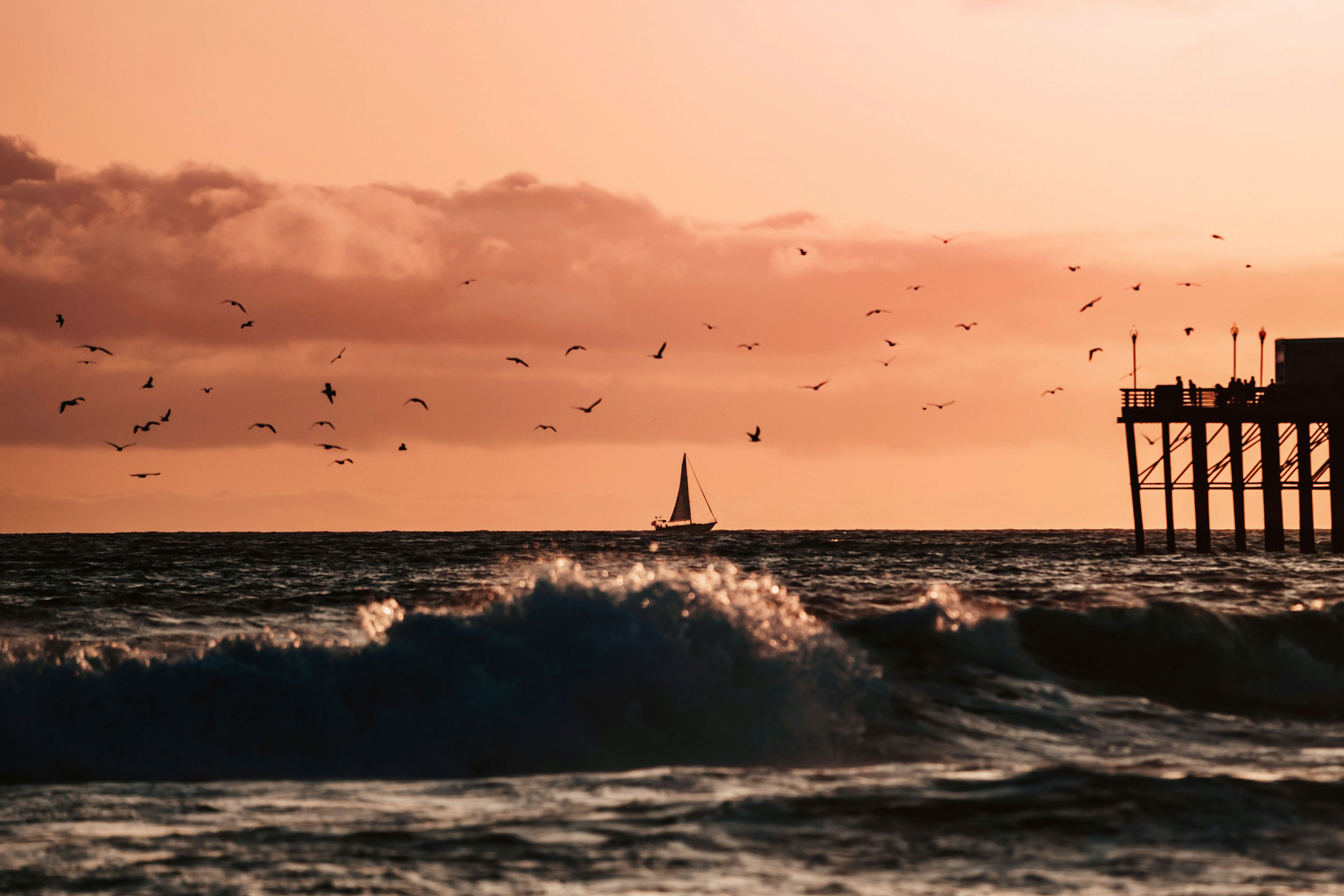 Photo by Hunter So on Unsplash