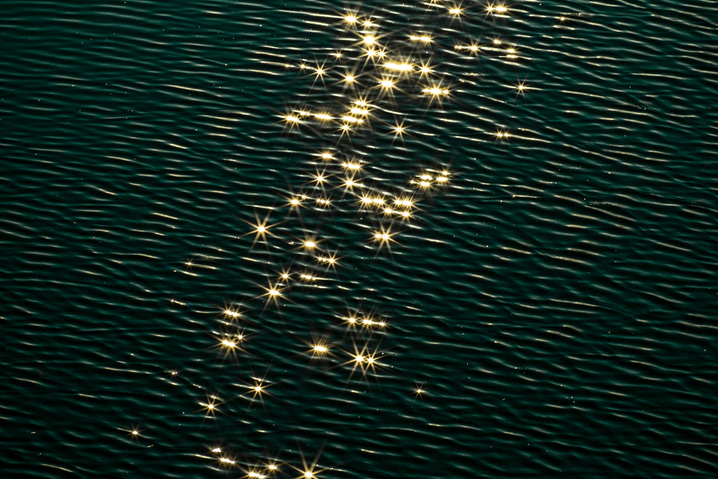 Photo by Tim Zänkert on Unsplash