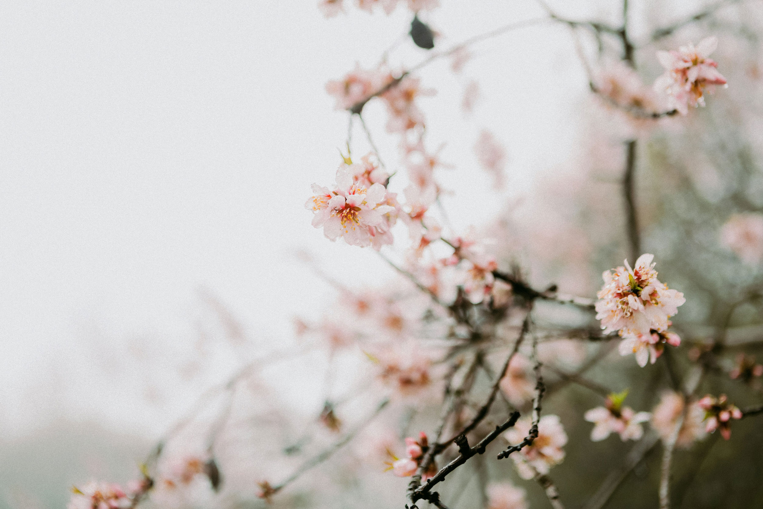 Astro Daily: March 26, 2024