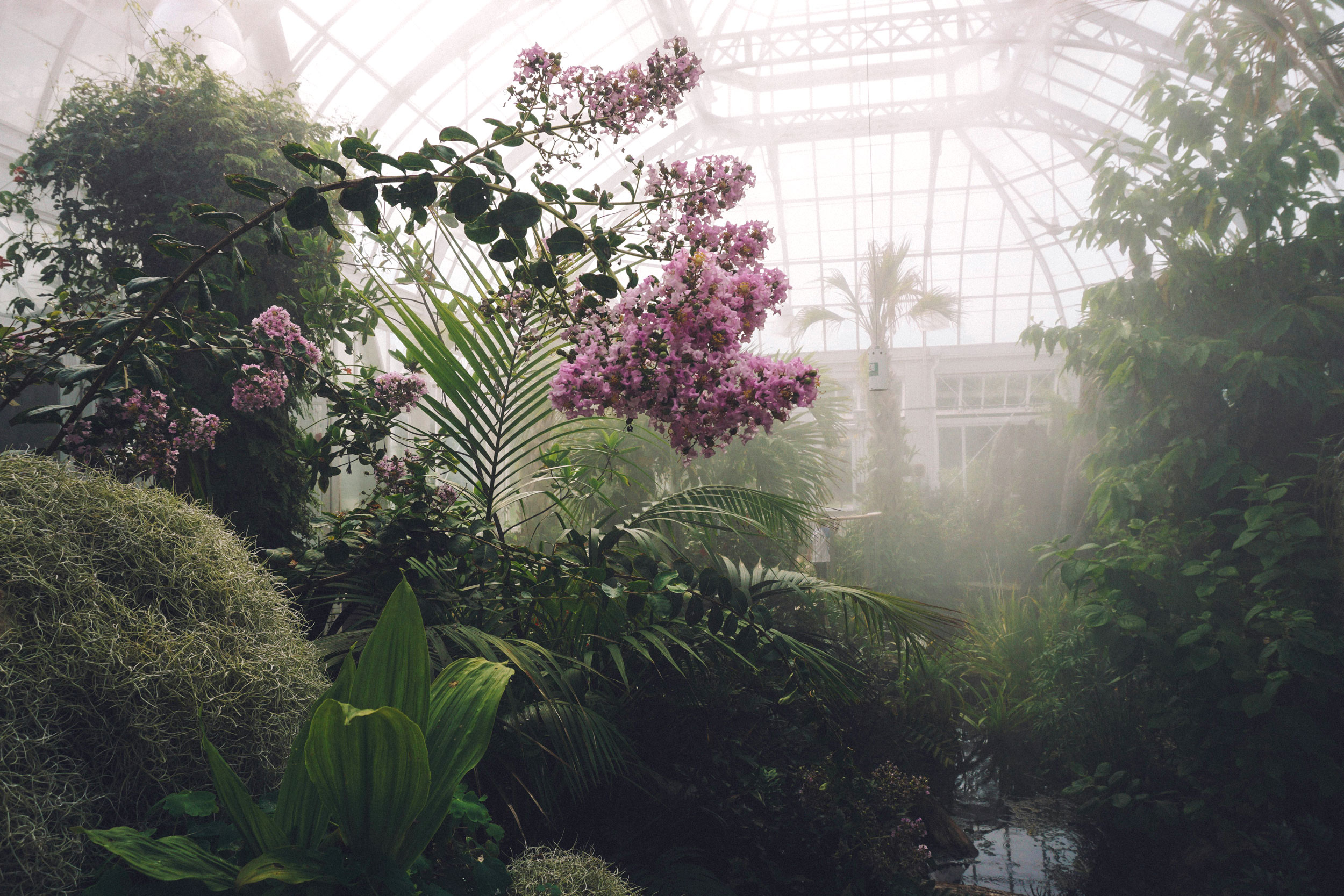 Photo by Echo on Unsplash