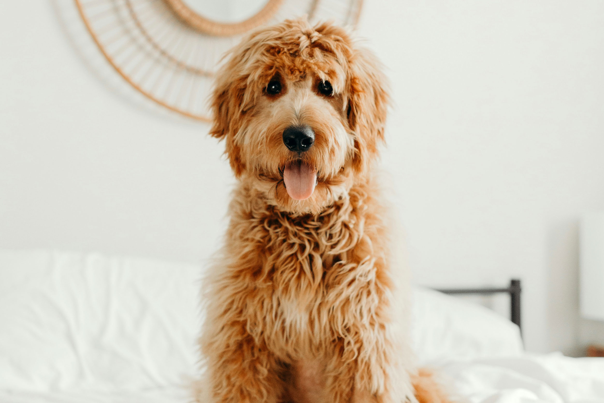 Photo by Brooke Cagle on Unsplash