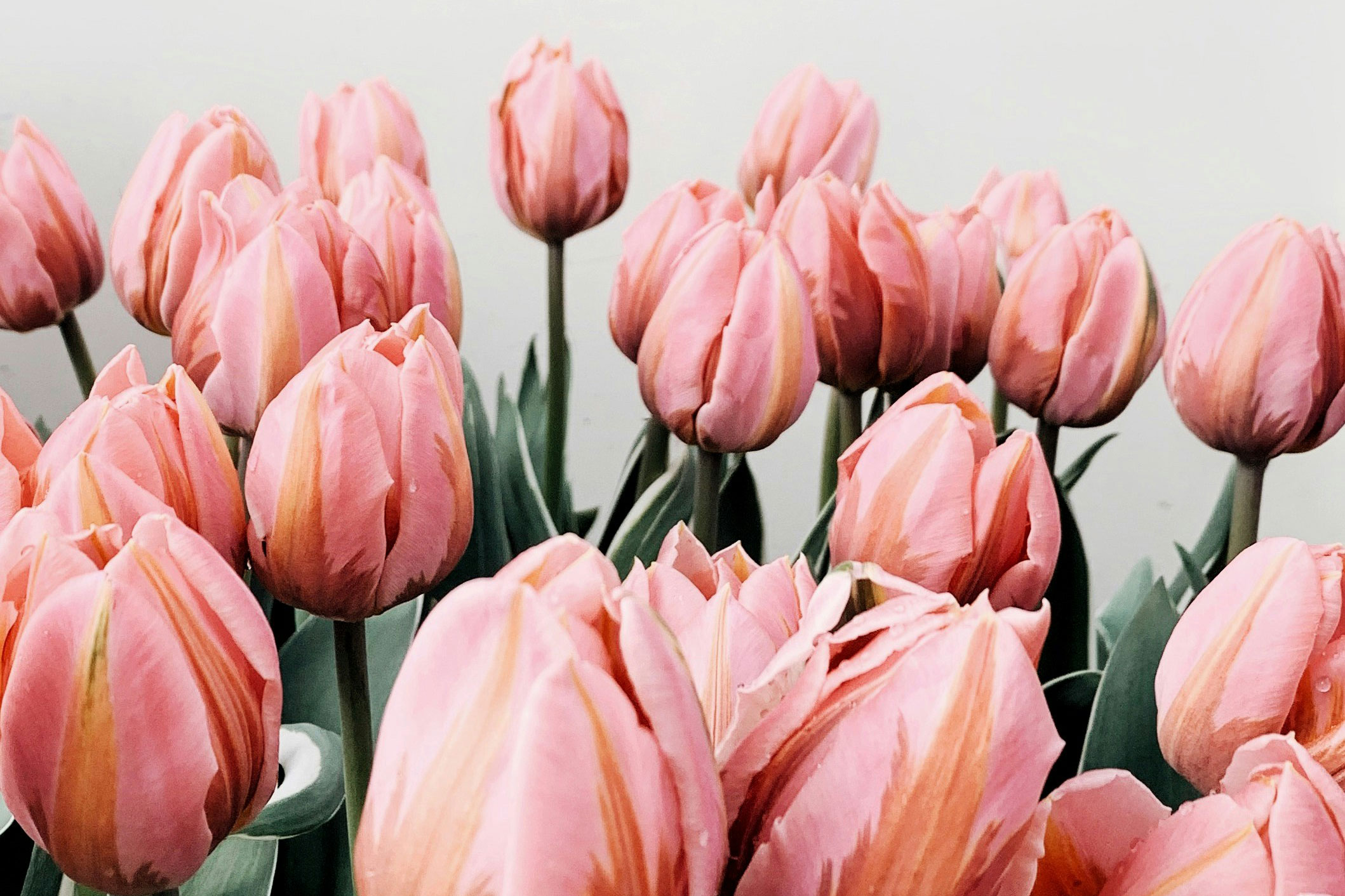Astro Daily: April 29, 2024