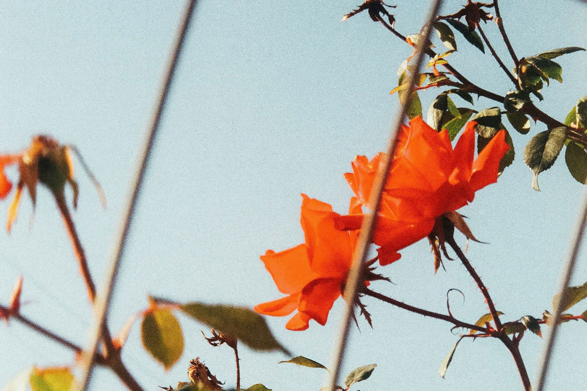 Photo by Parker Coffman on Unsplash