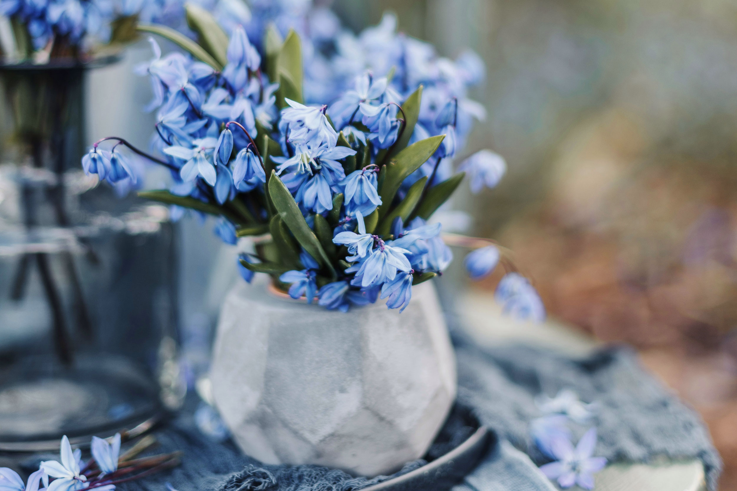 Astro Daily: May 6, 2024