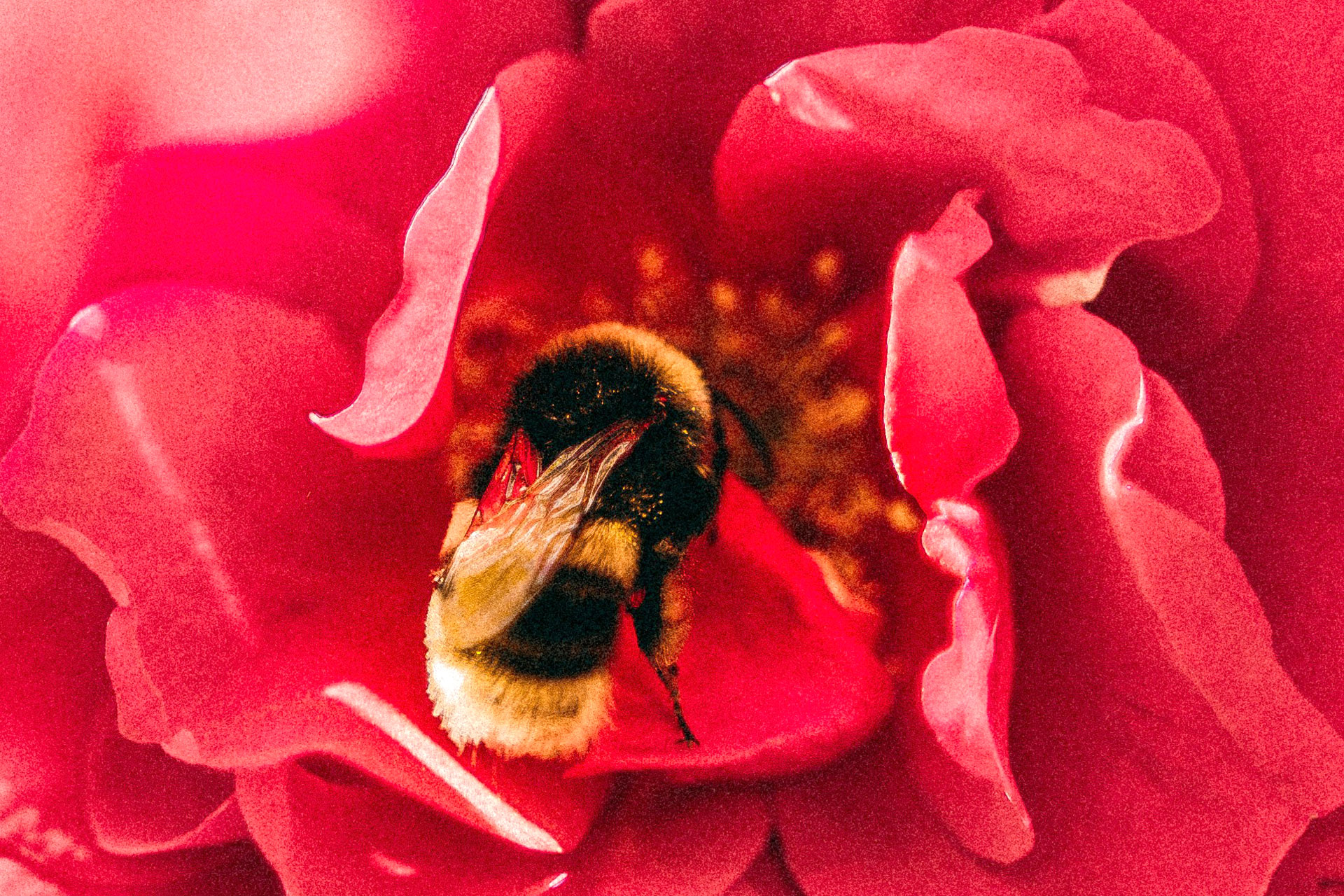 Astro Daily: May 20, 2024