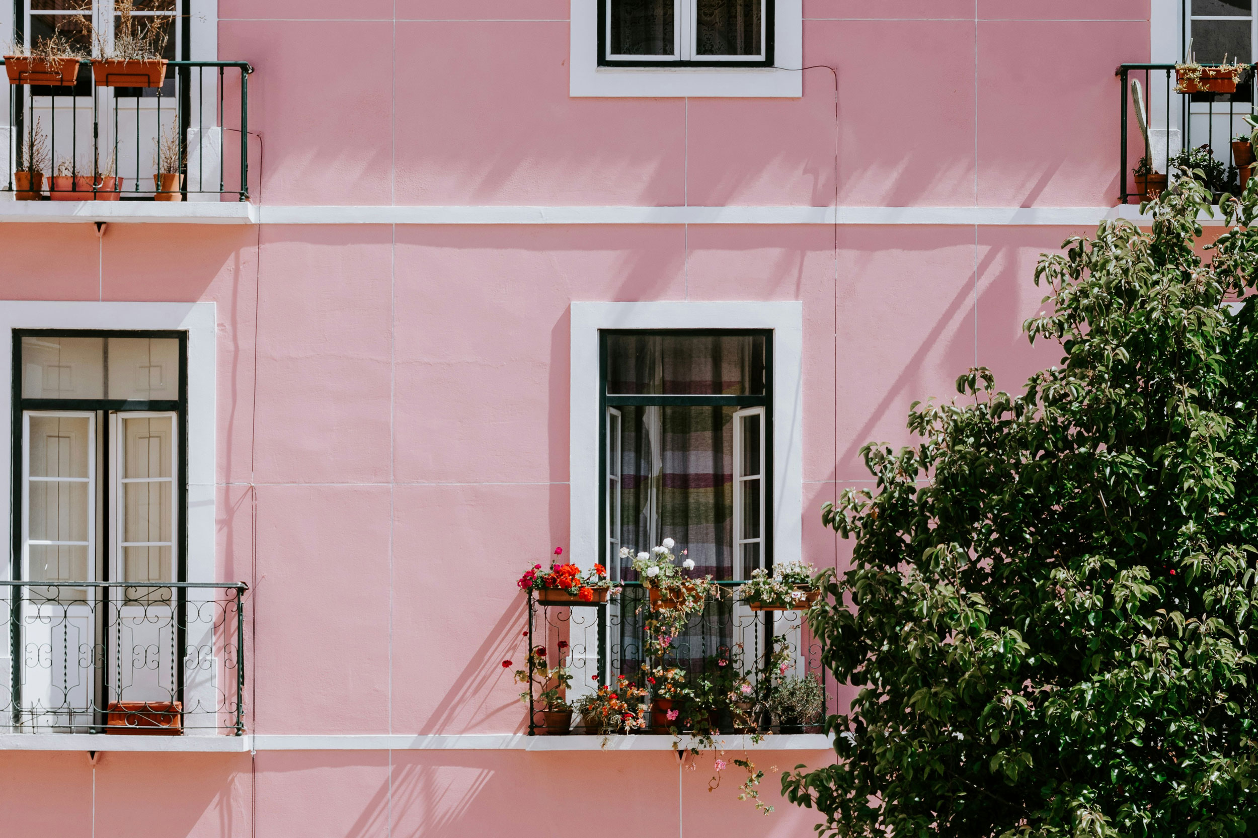 Astro Daily: June 26, 2024