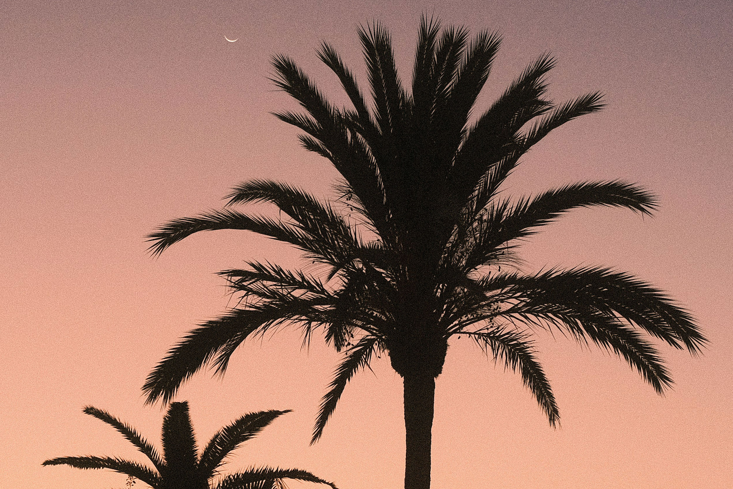 Astro Daily: July 4, 2024