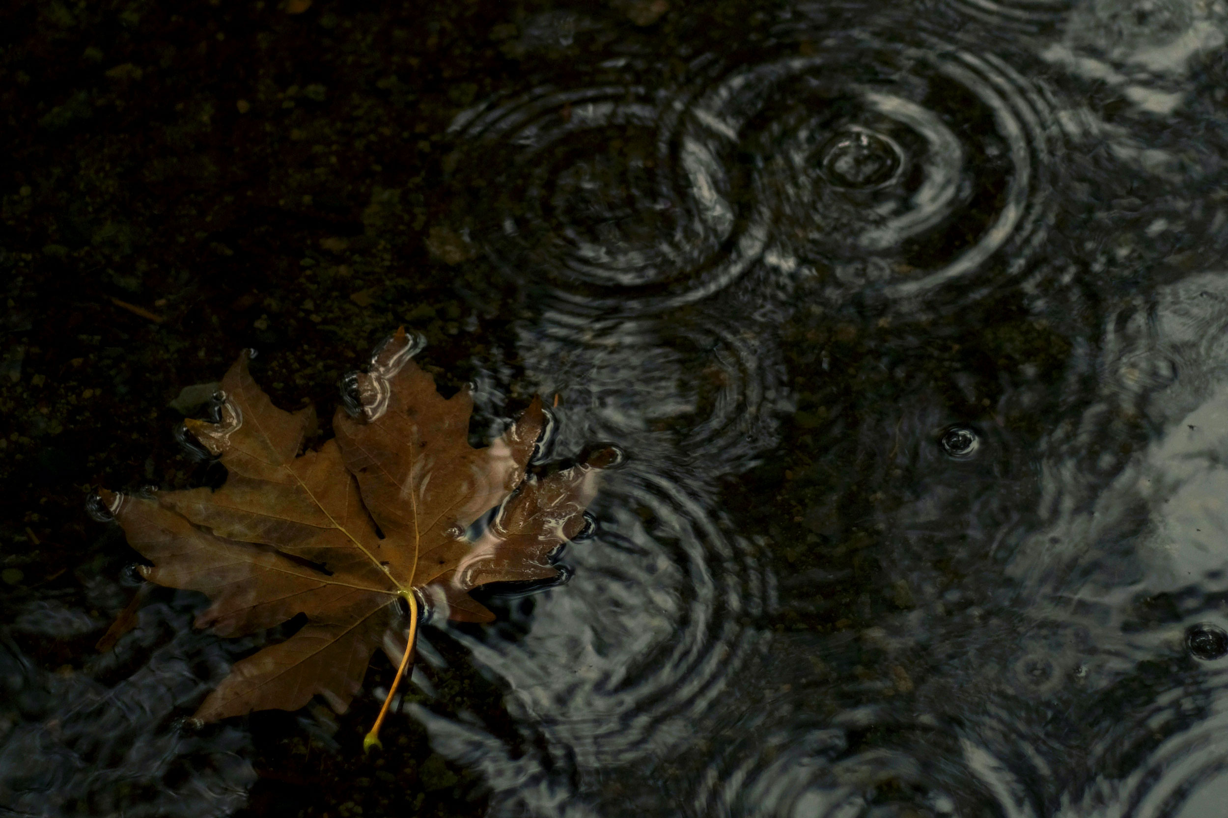 Photo by Cody Chan on Unsplash