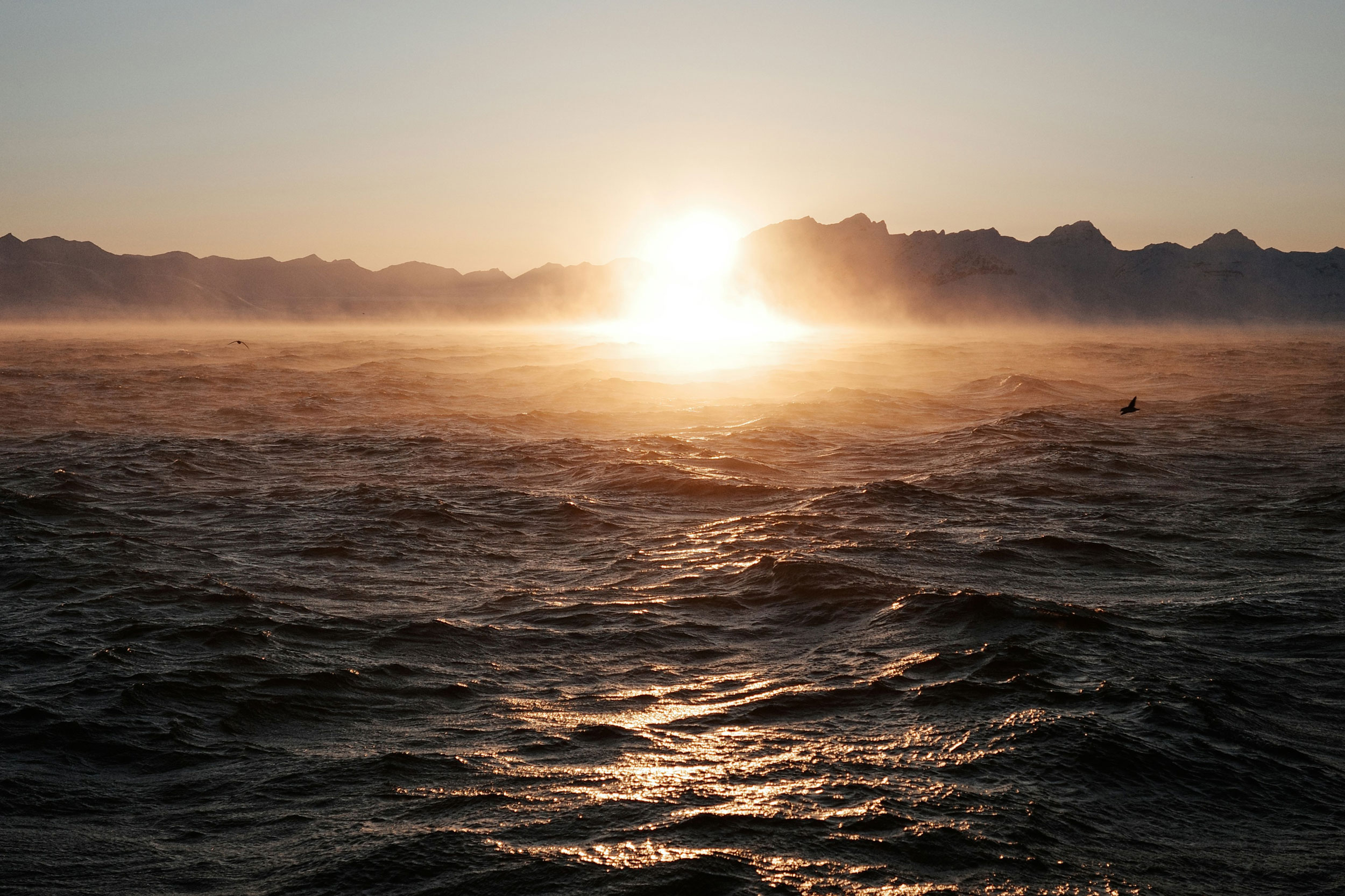 Astro Daily: October 4, 2024