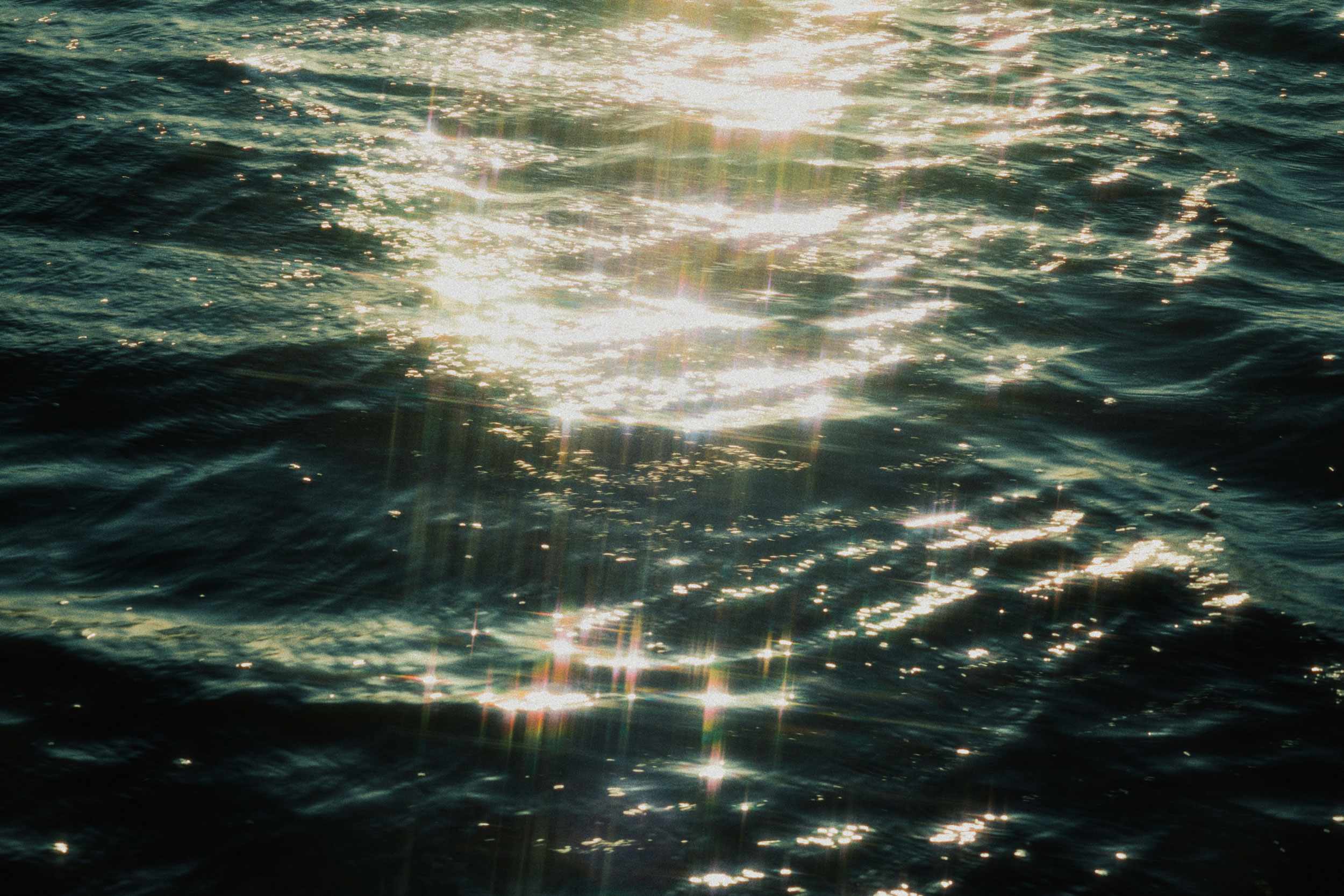 Astro Daily: November 8, 2024