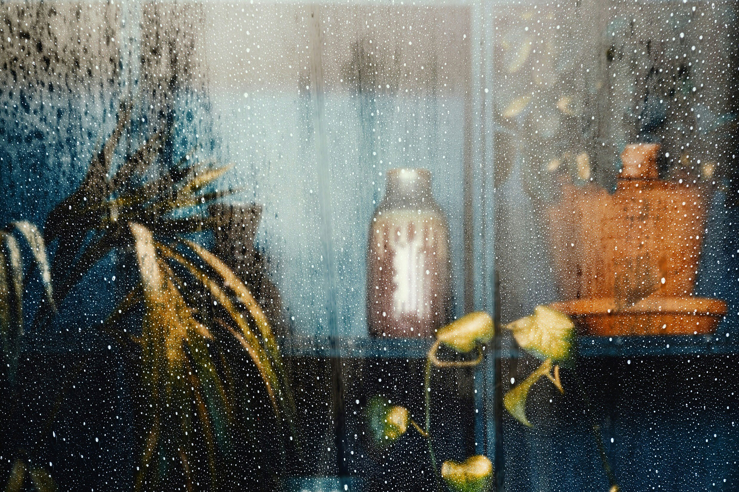 Photo by Simon Lohmann on Unsplash