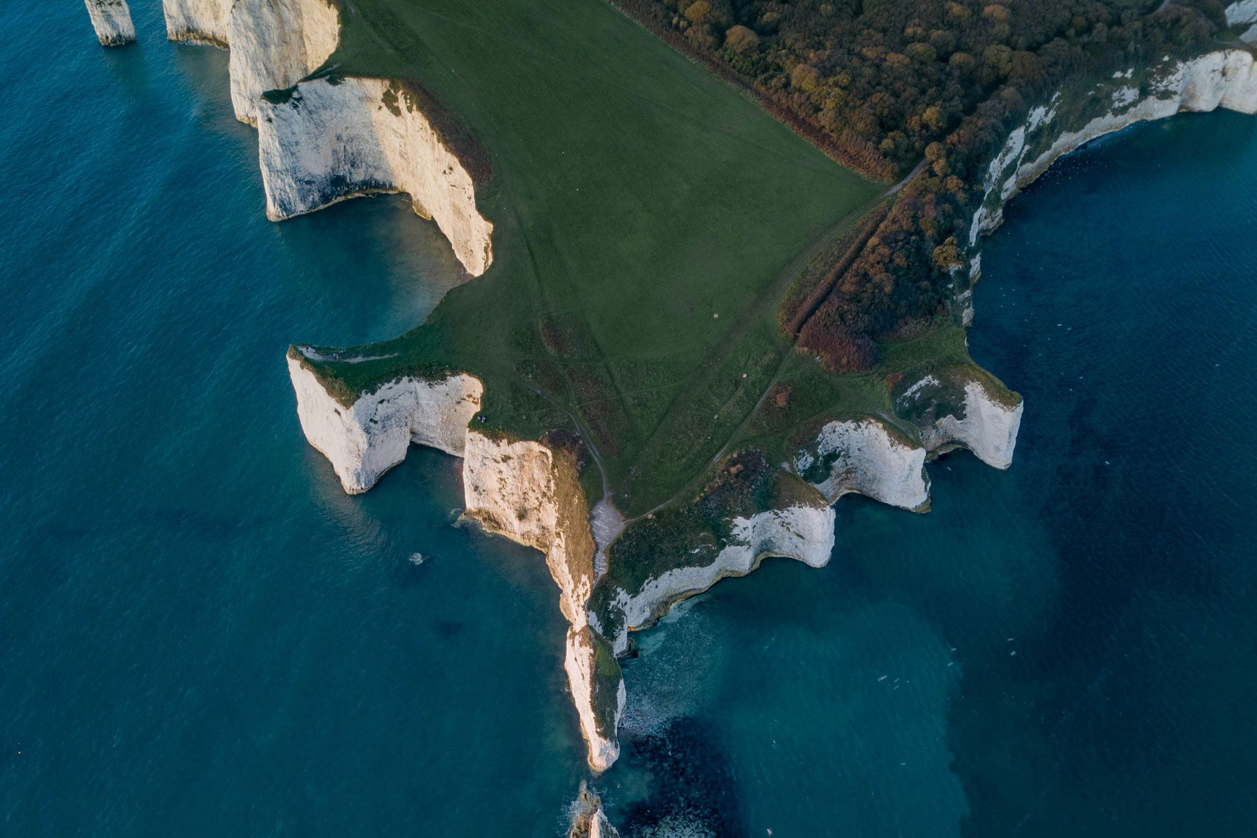 Photo by dan wilding on Unsplash