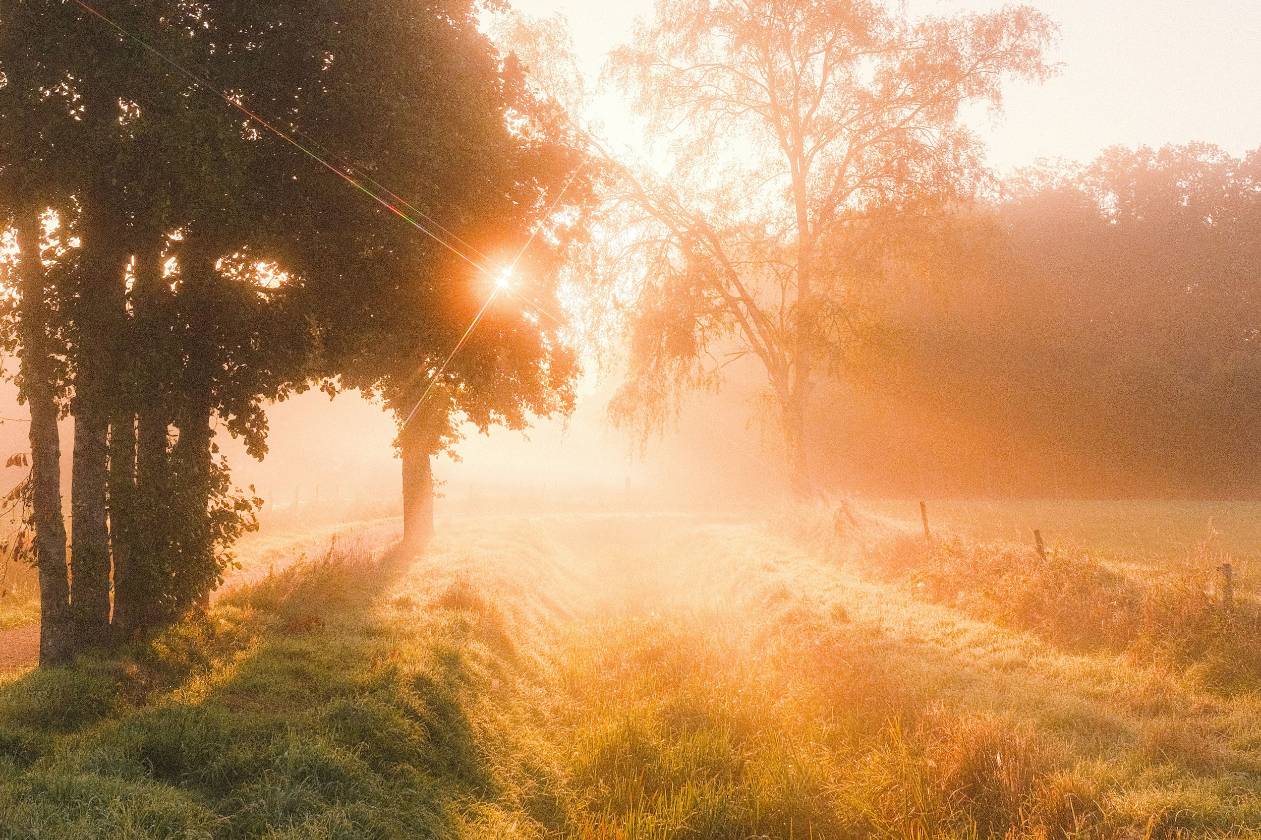 The Astrology of May 2, 2025