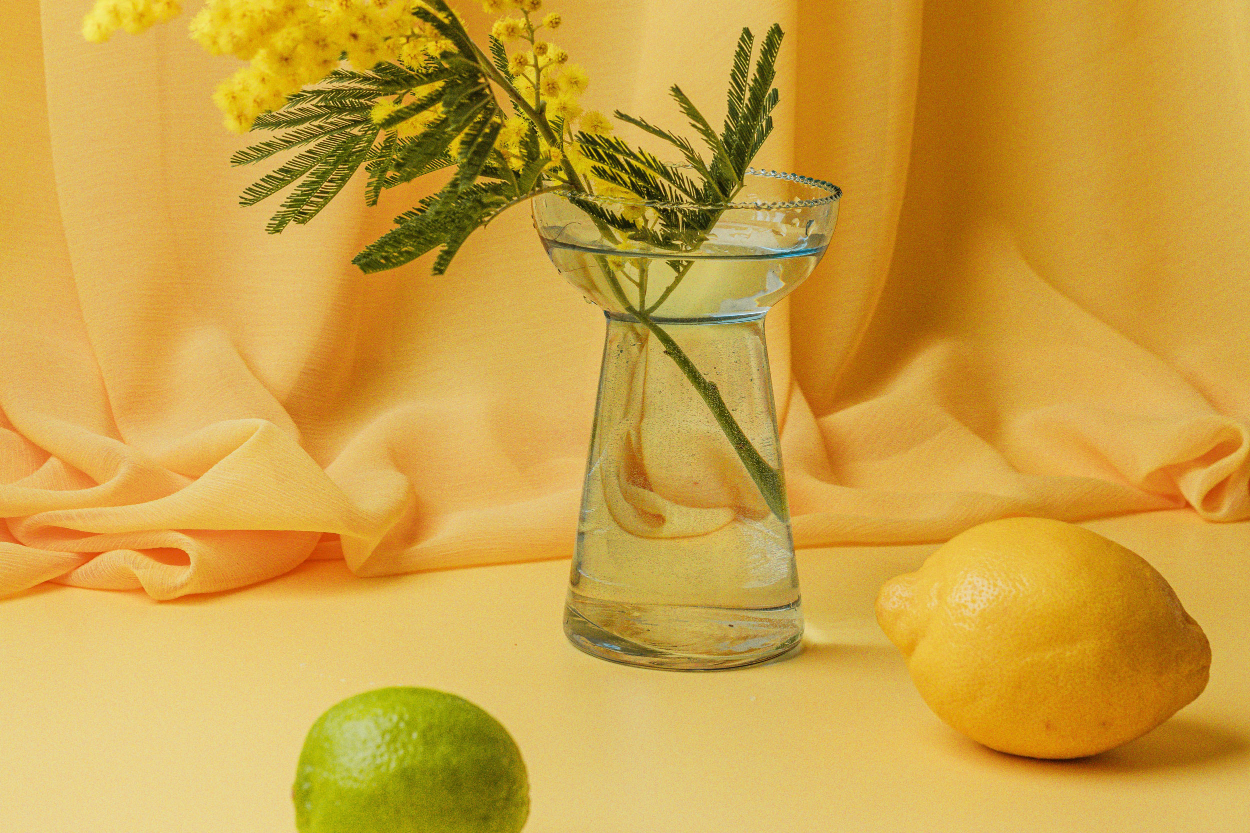 Photo by Anita Austvika