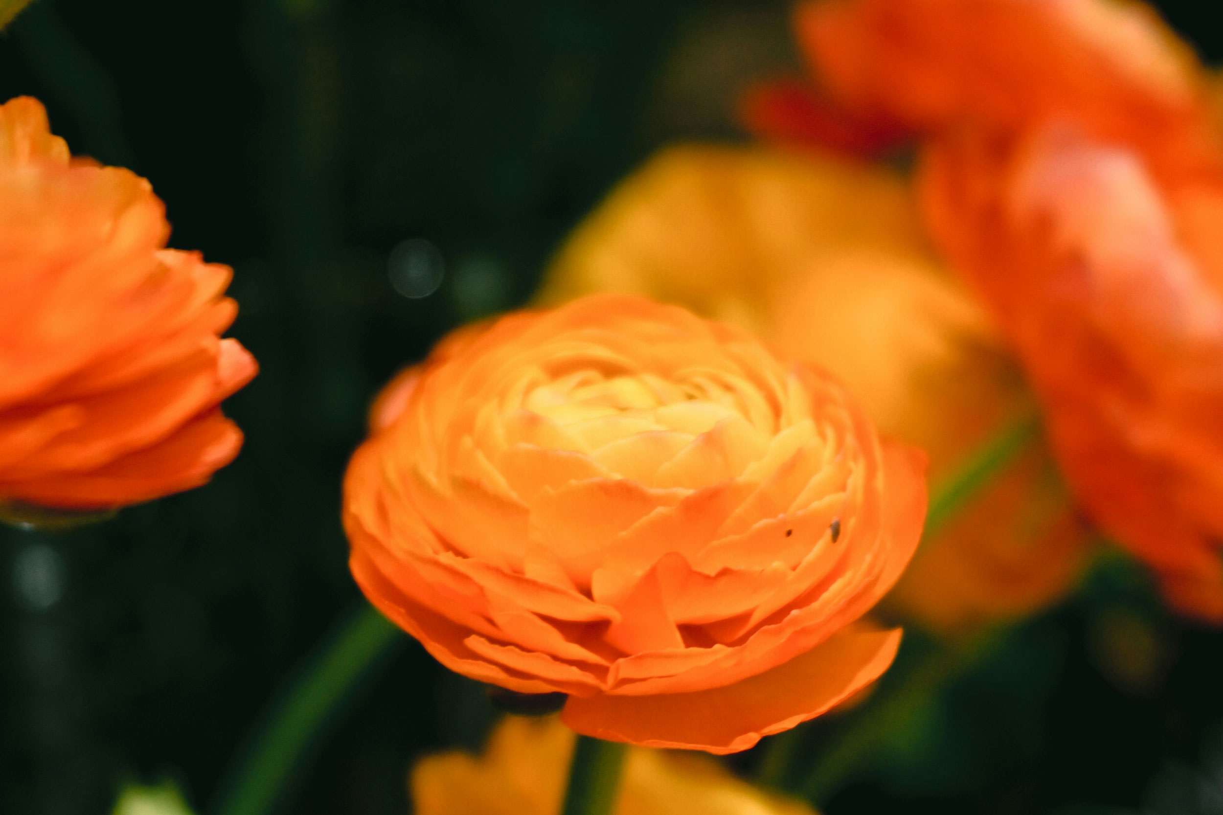 The Astrology of July 16, 2025