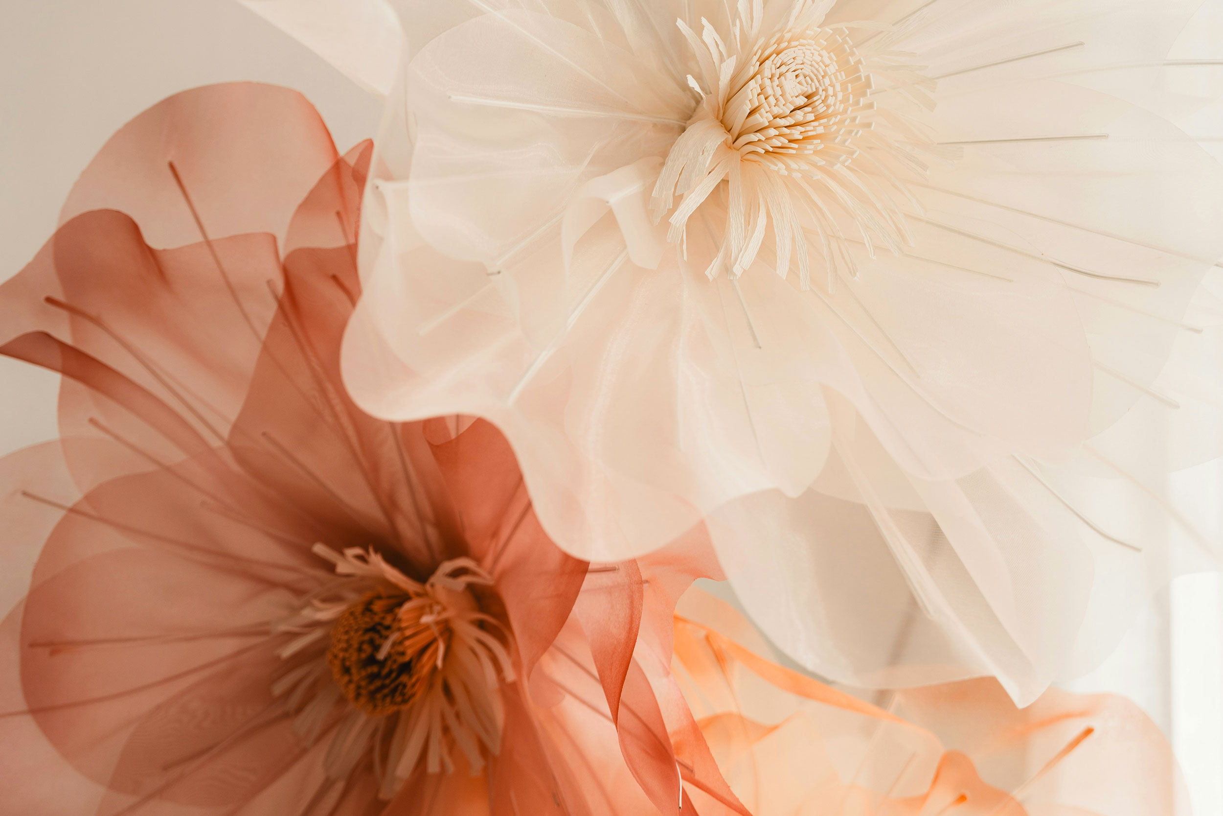 The Astrology of August 27, 2025
