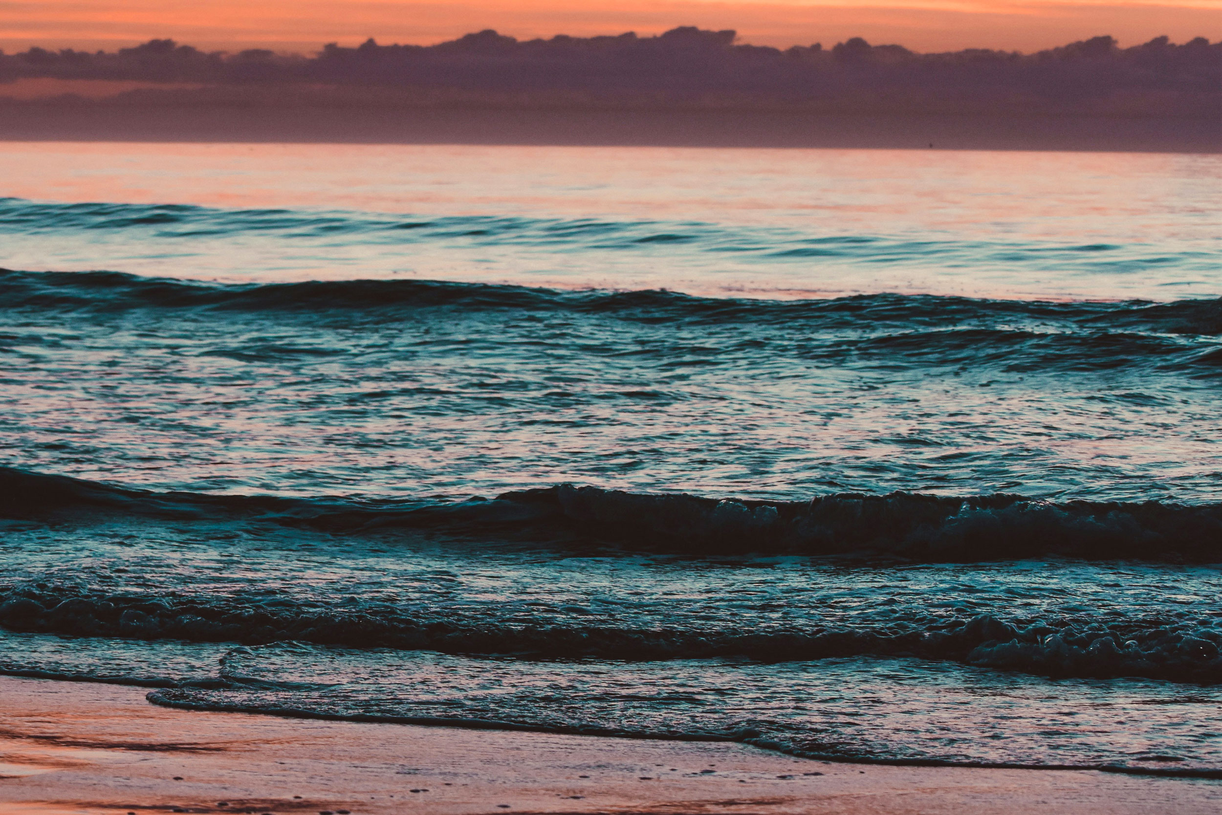 Photo by Avery Cocozziello on Unsplash