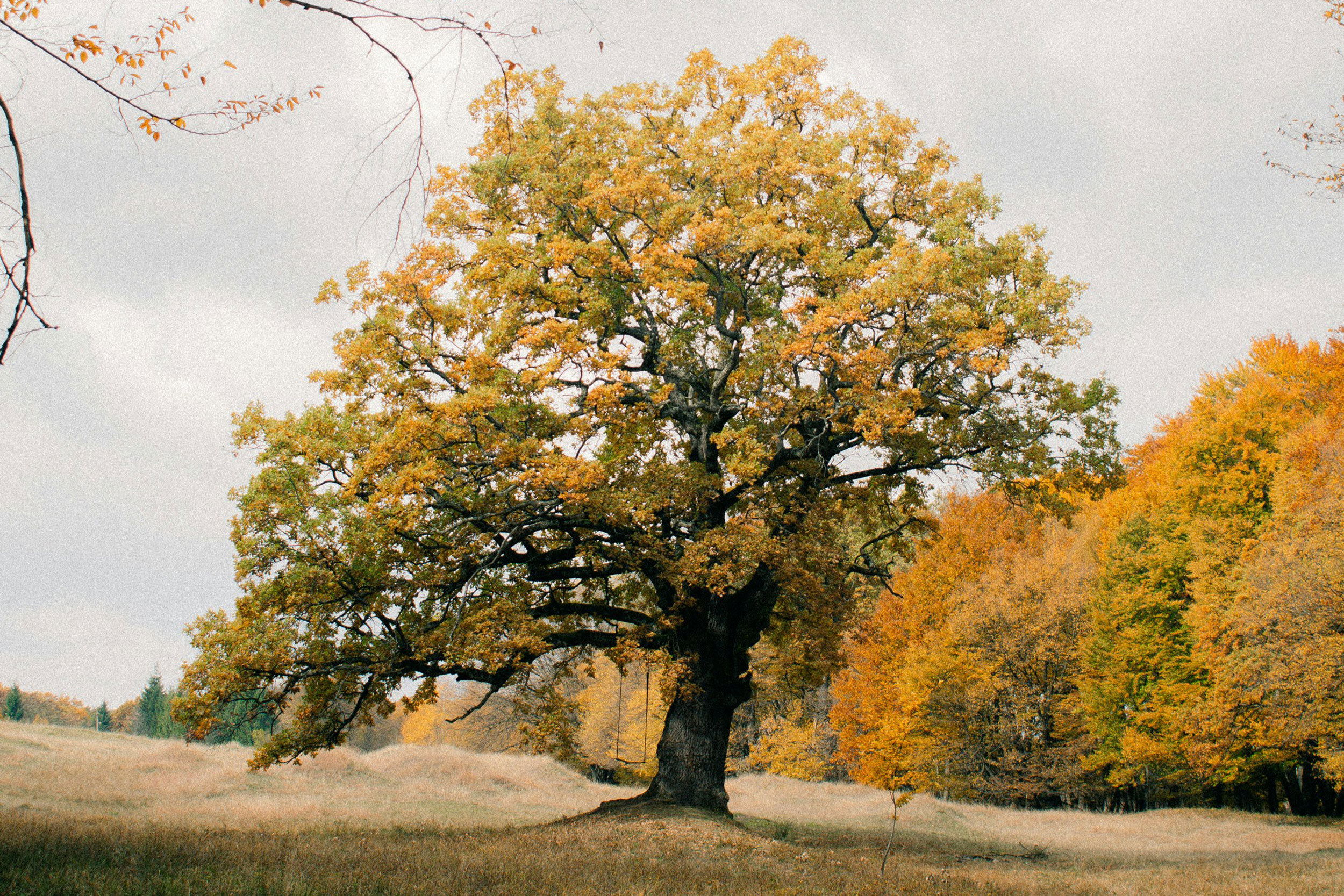 Photo by Sabin Zablau on Unsplash