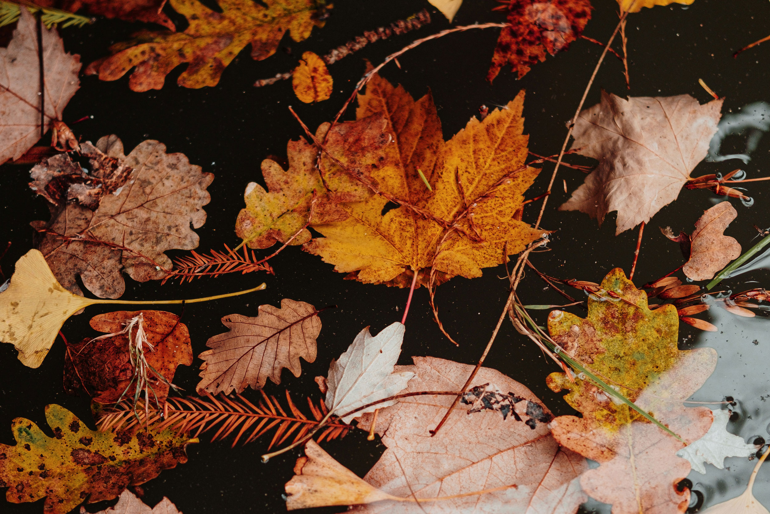 The Astrology of October 30, 2025