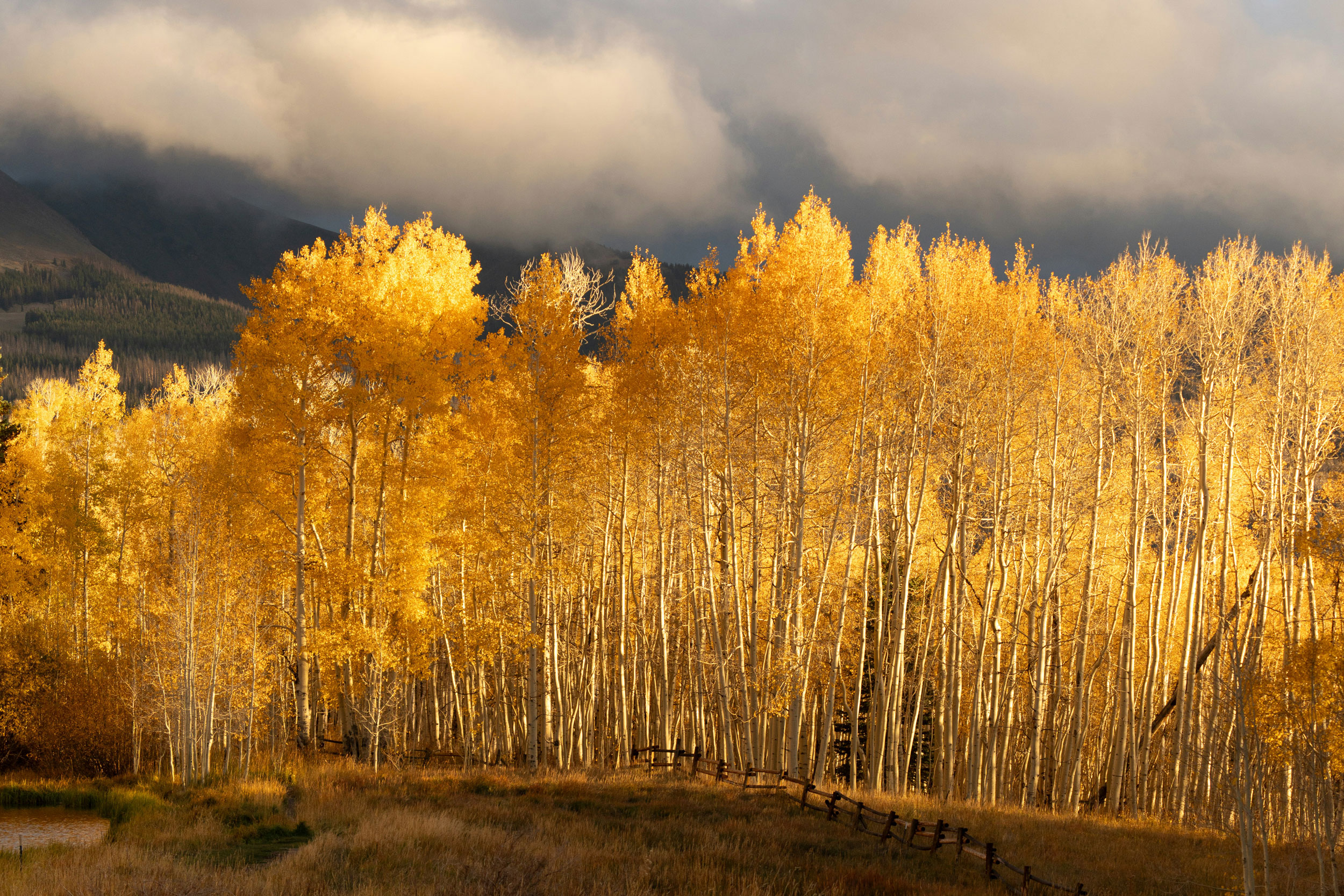 The Astrology of November 3, 2025