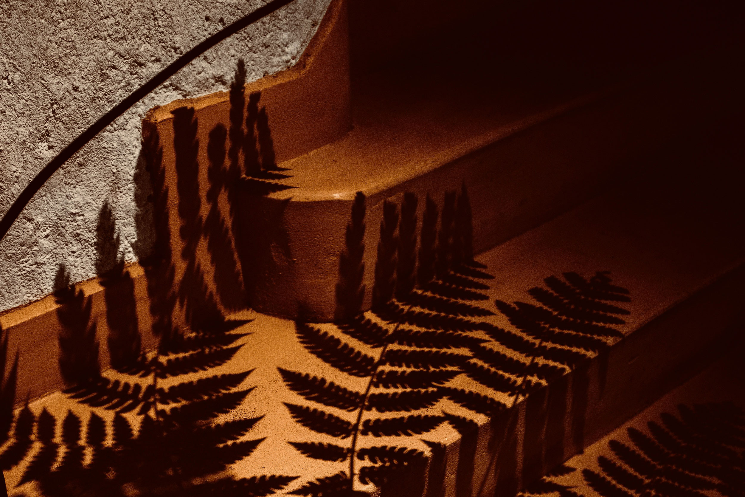 The Astrology of November 12, 2025