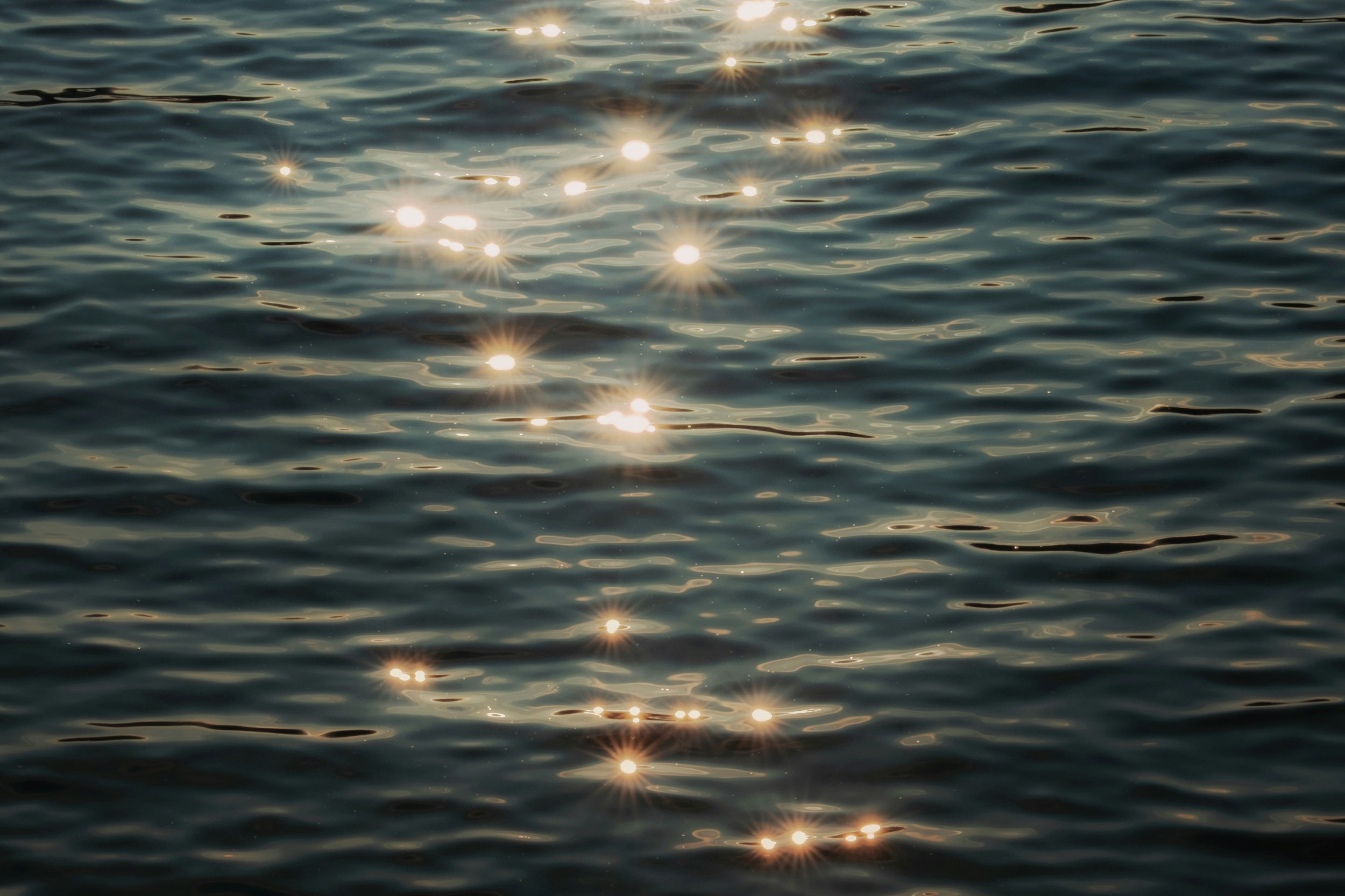 The Astrology of November 17, 2025