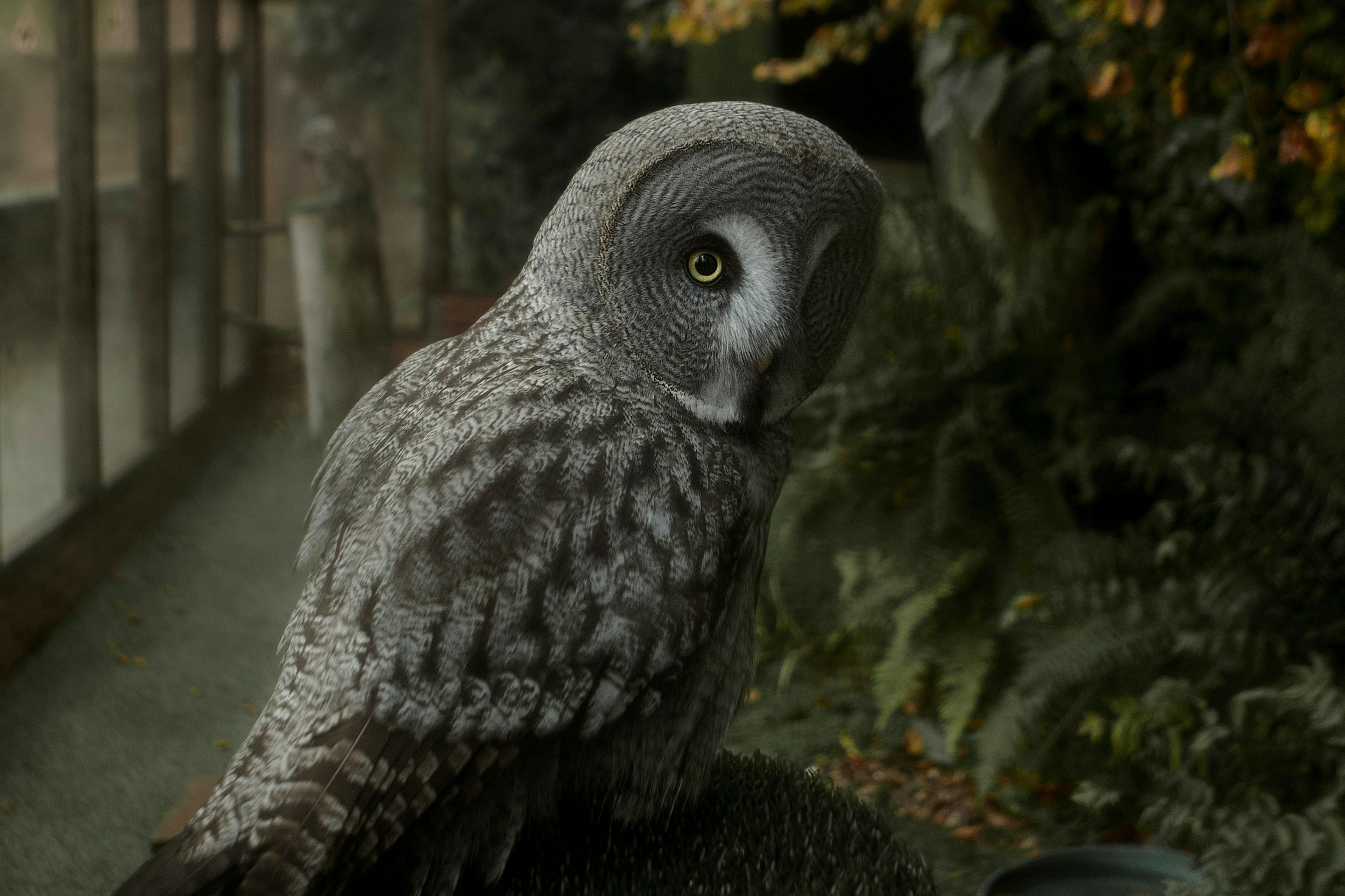 The Astrology of November 10, 2025