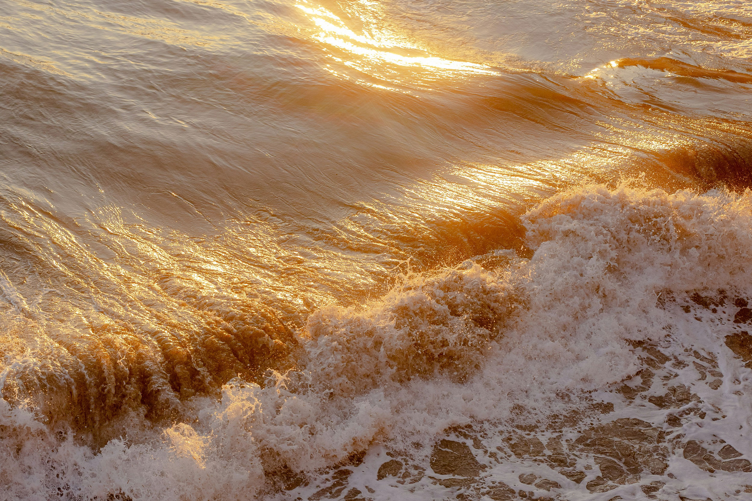 The Astrology of November 11, 2025