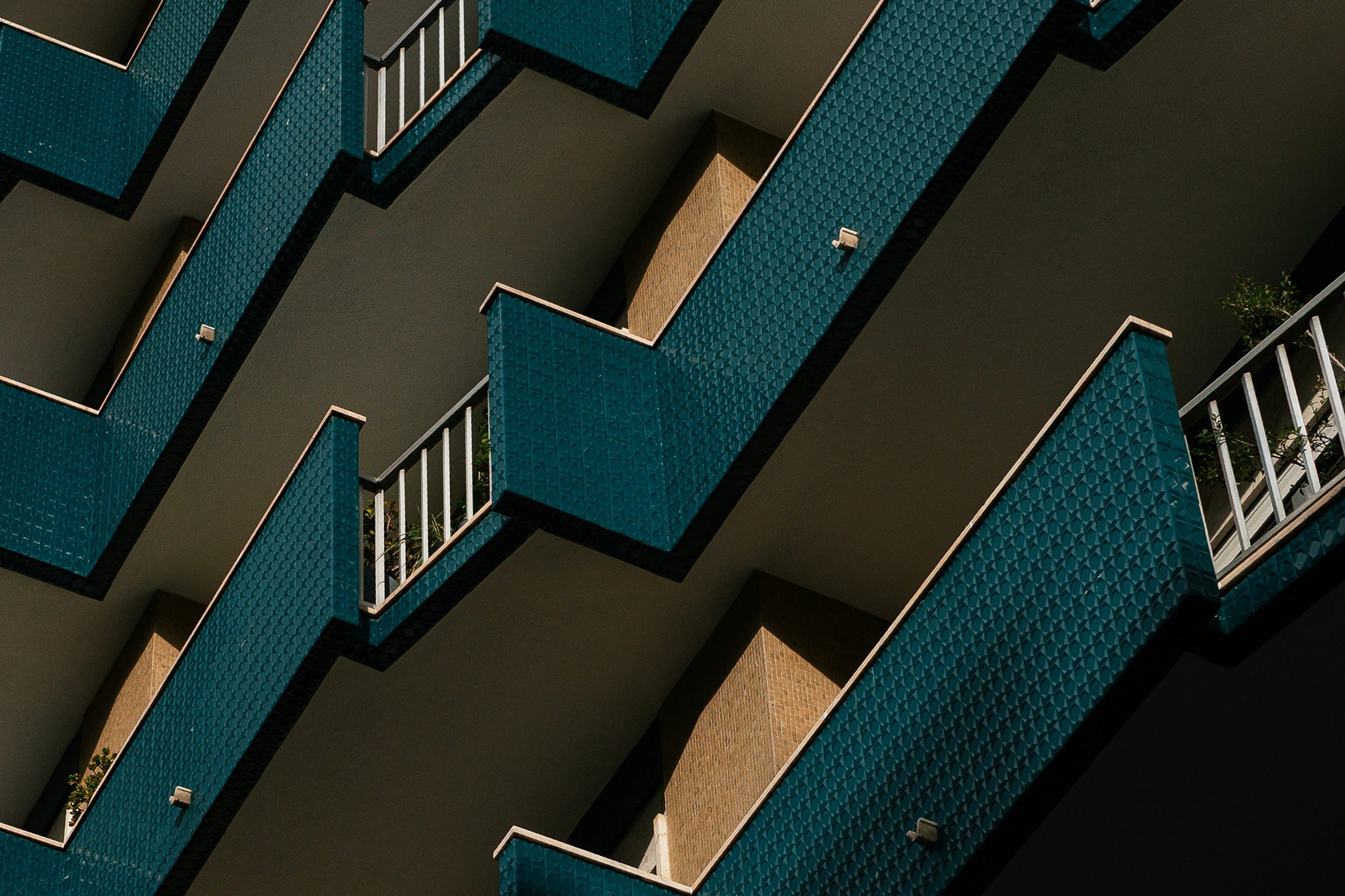 The Astrology of December 15, 2025