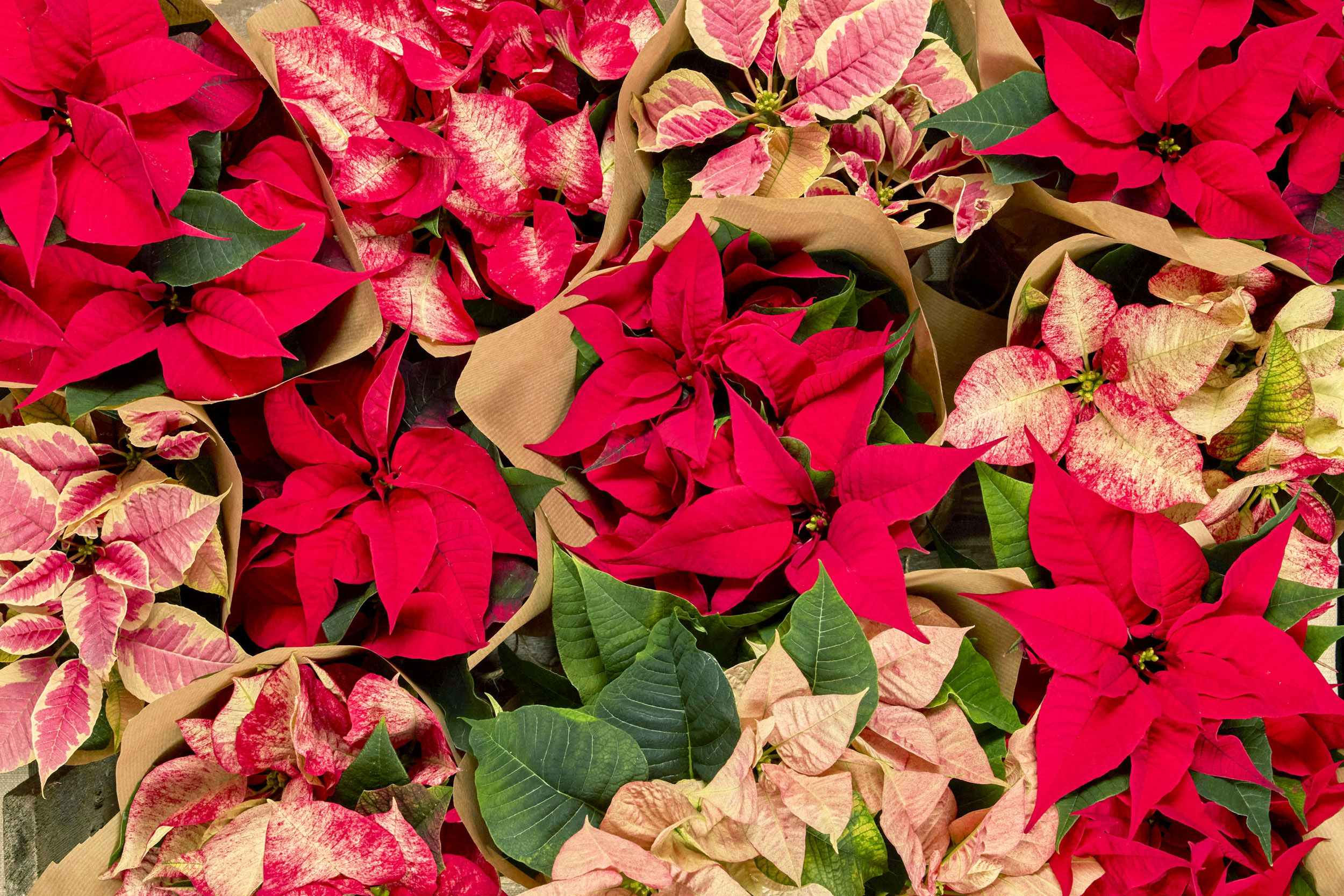 The Astrology of December 2, 2025