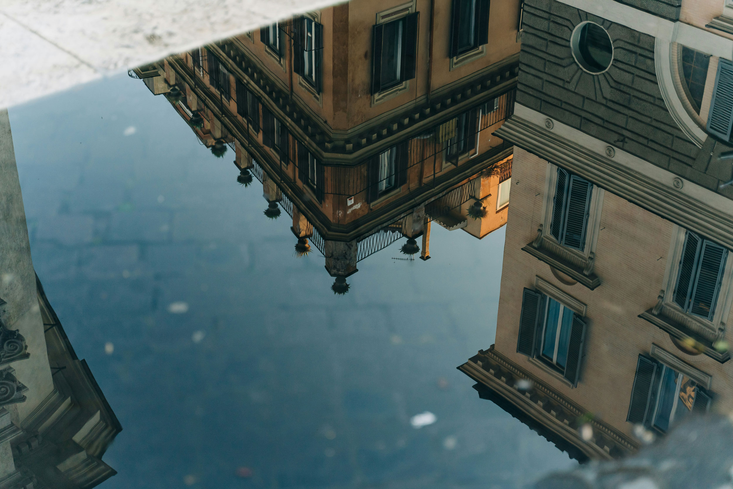 The Astrology of December 24, 2025