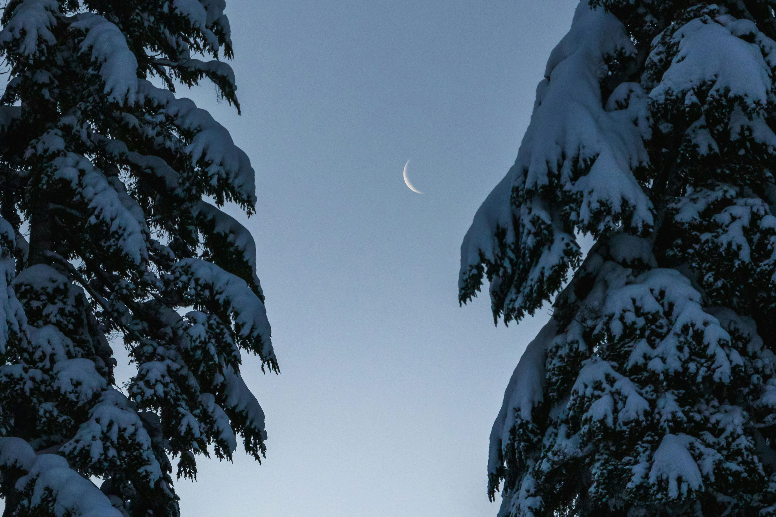 The Astrology of December 18, 2025