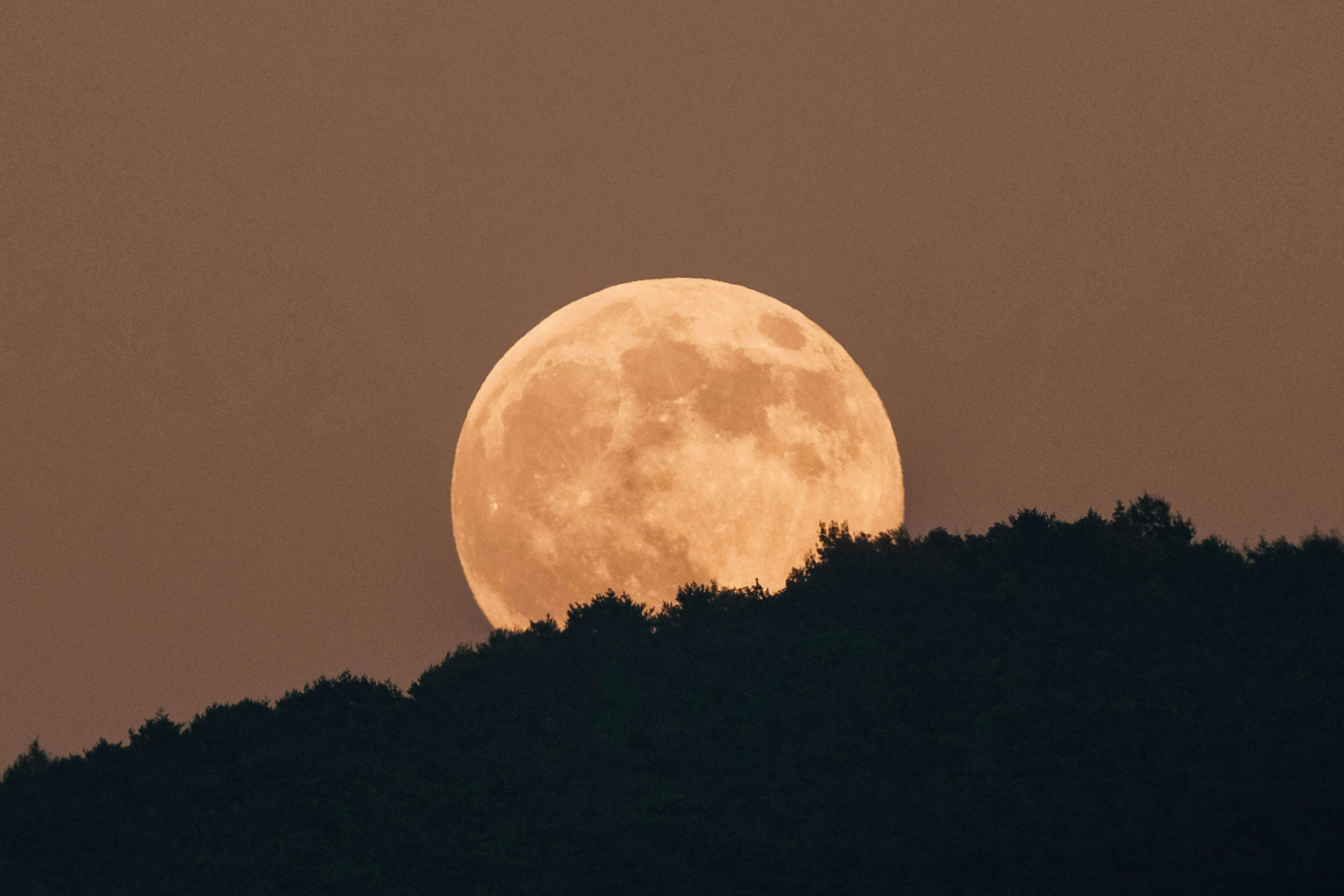 The Astrology of December 3, 2025