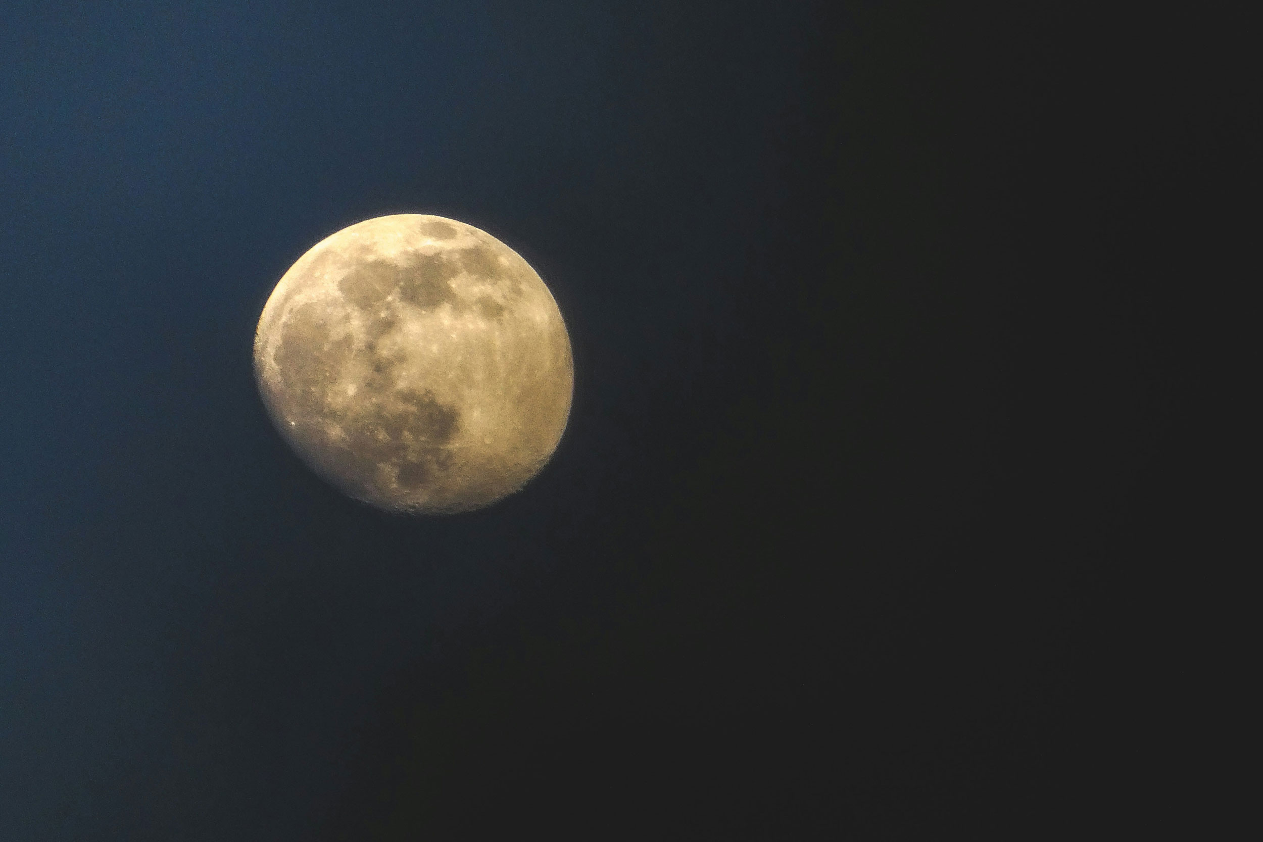 The Astrology of January 29, 2026