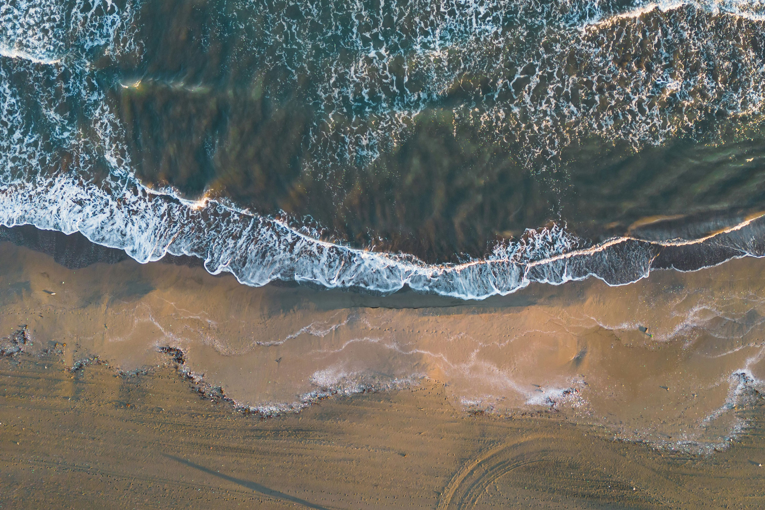 The Astrology of January 30, 2026