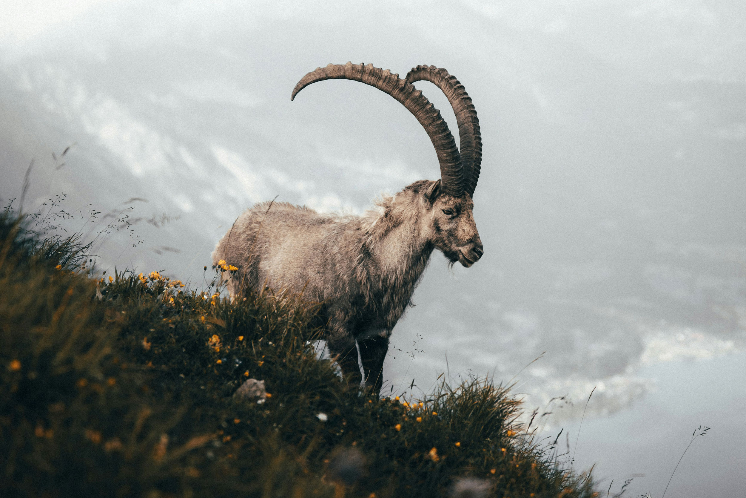 The Astrology of January 6, 2026