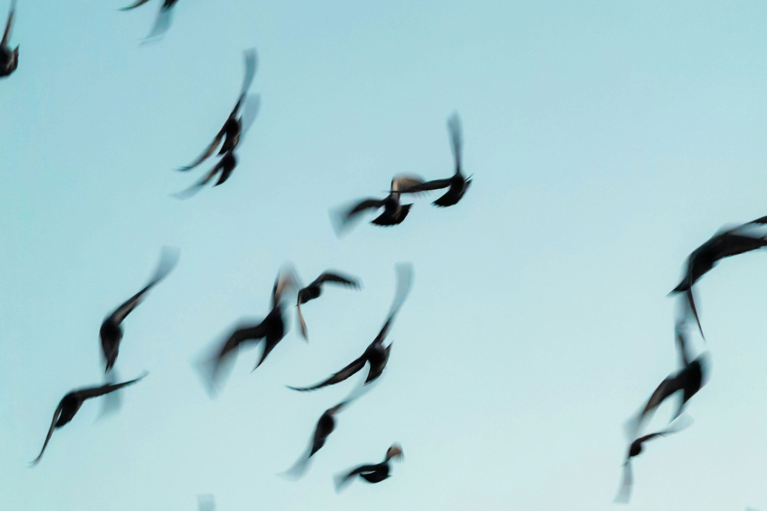 The Astrology of January 28, 2026